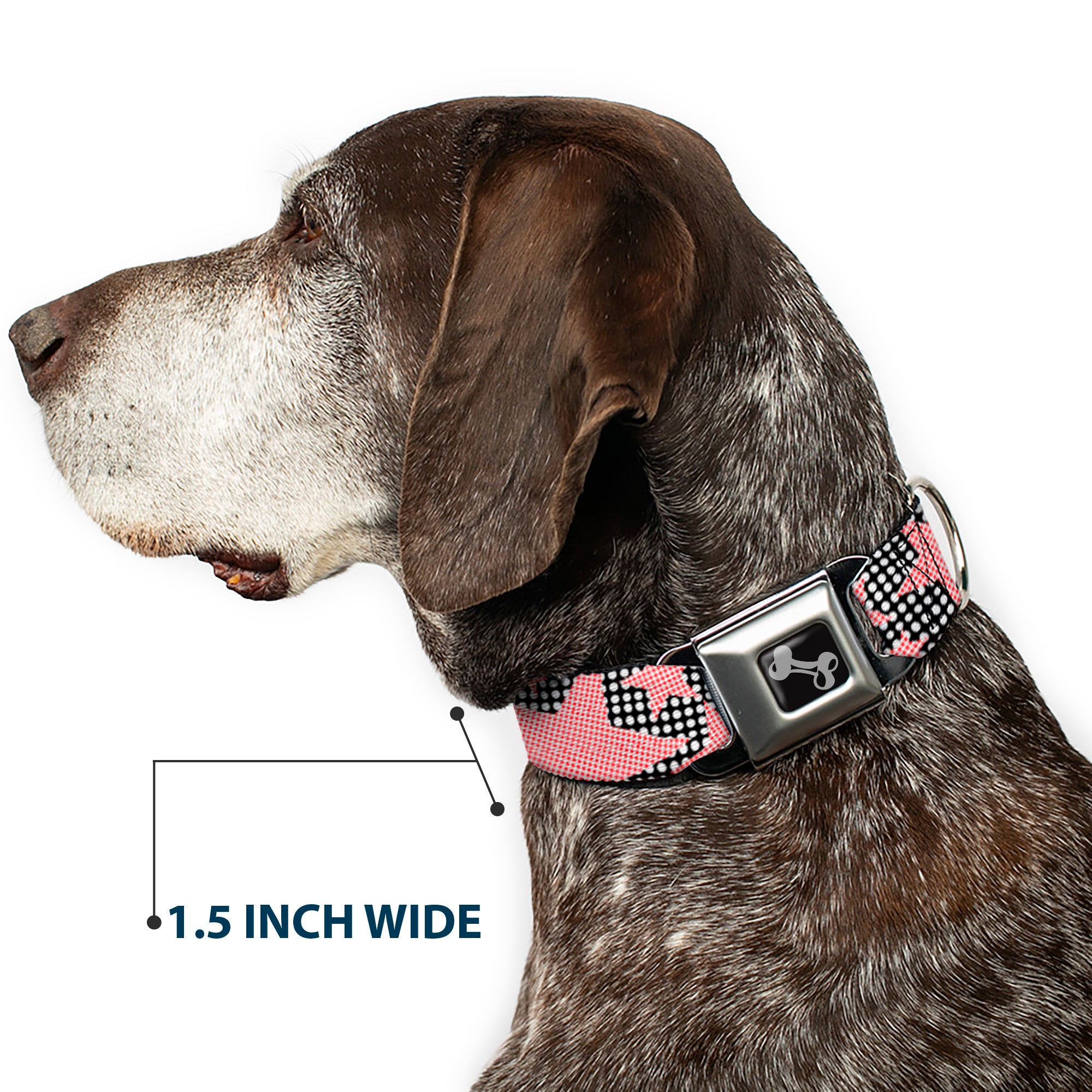 Dog Bone Seatbelt Buckle Collar - Eighties Stars2 Black/White/Red Seatbelt Buckle Collars Buckle-Down