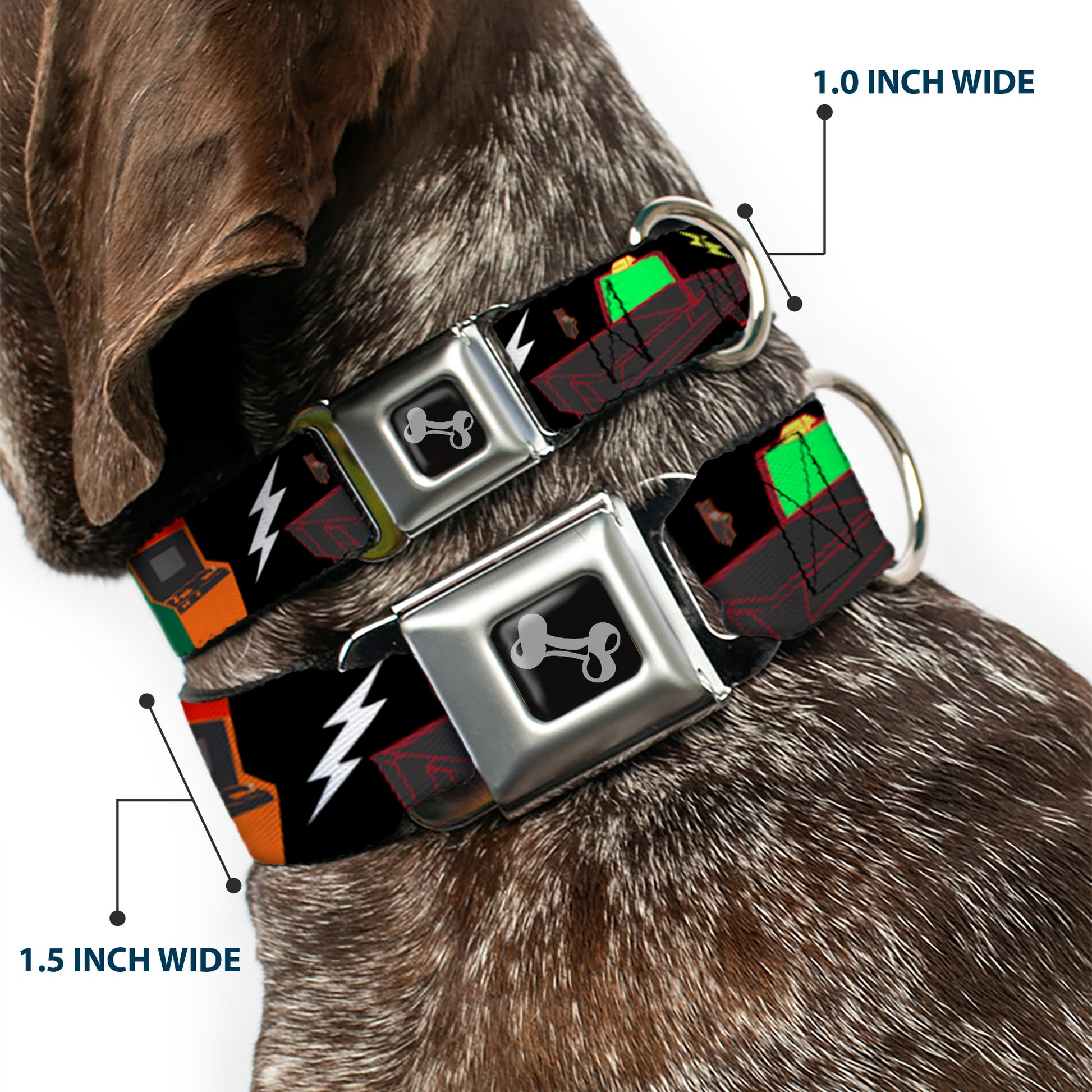 Dog Bone Seatbelt Buckle Collar - Eighties Arcade Black Seatbelt Buckle Collars Buckle-Down