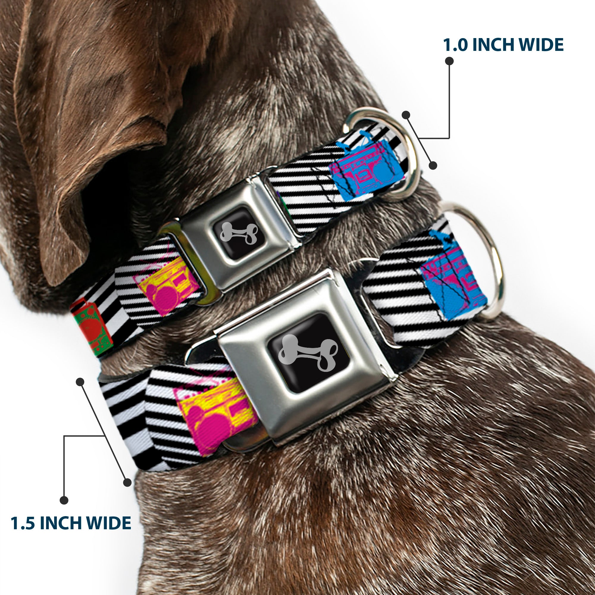 Dog Bone Seatbelt Buckle Collar - Eighties Boomboxes Seatbelt Buckle Collars Buckle-Down
