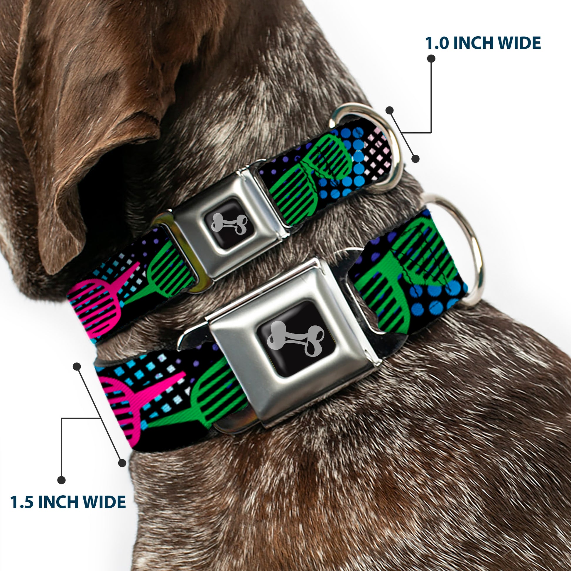 Dog Bone Seatbelt Buckle Collar - Eighties Shades Black/Neon Seatbelt Buckle Collars Buckle-Down