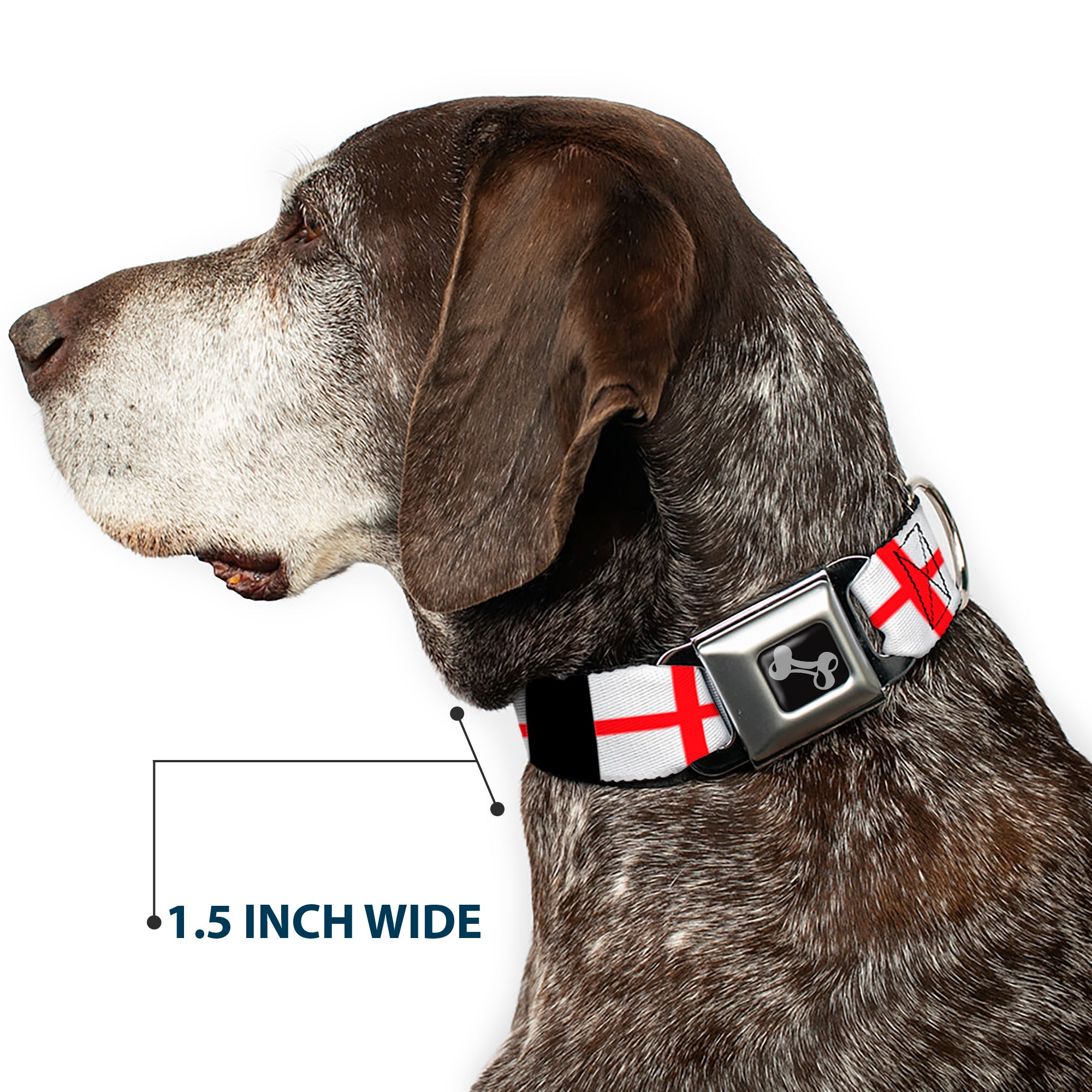 Dog Bone Seatbelt Buckle Collar - England Flags Seatbelt Buckle Collars Buckle-Down