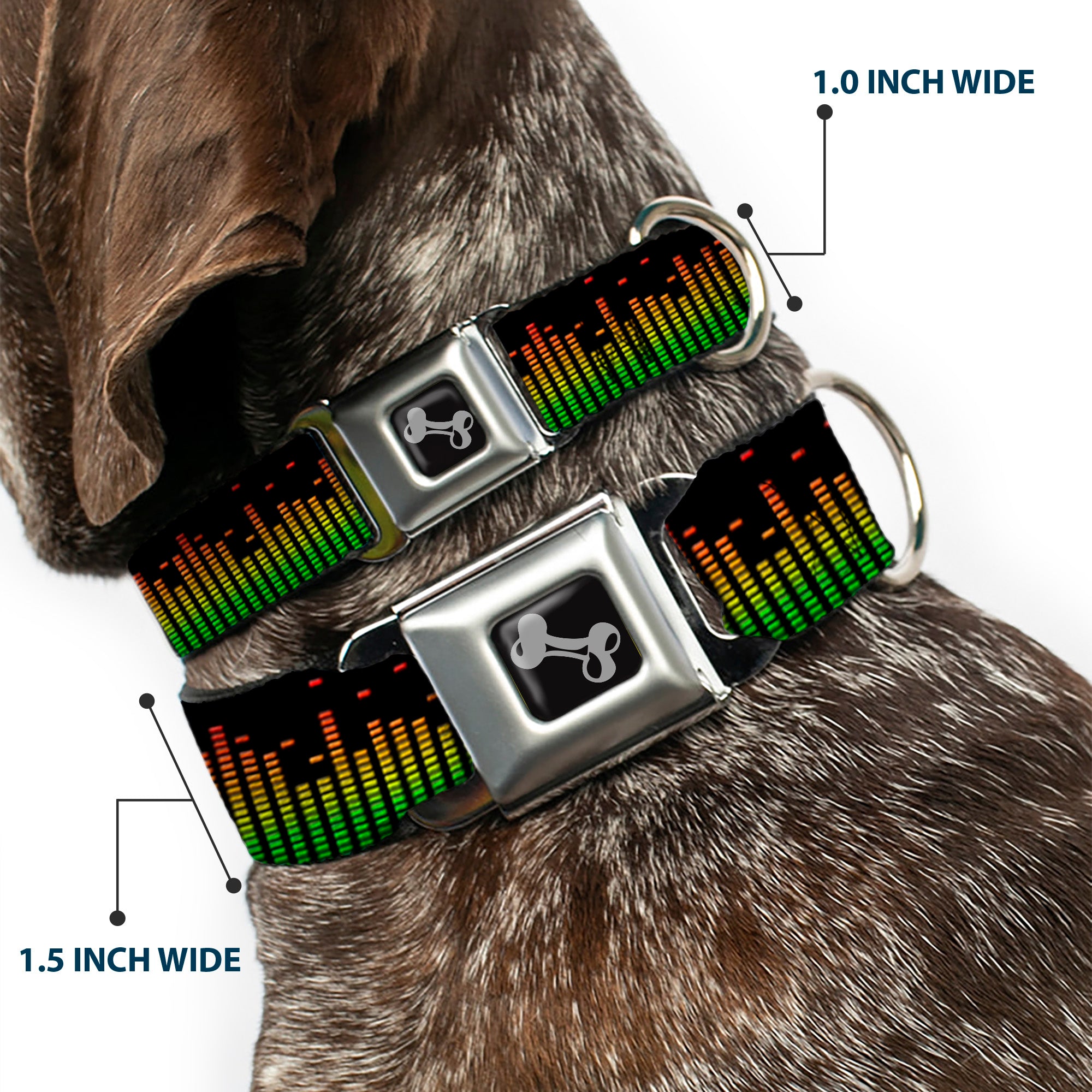 Dog Bone Seatbelt Buckle Collar - DC Equalizer Seatbelt Buckle Collars Buckle-Down