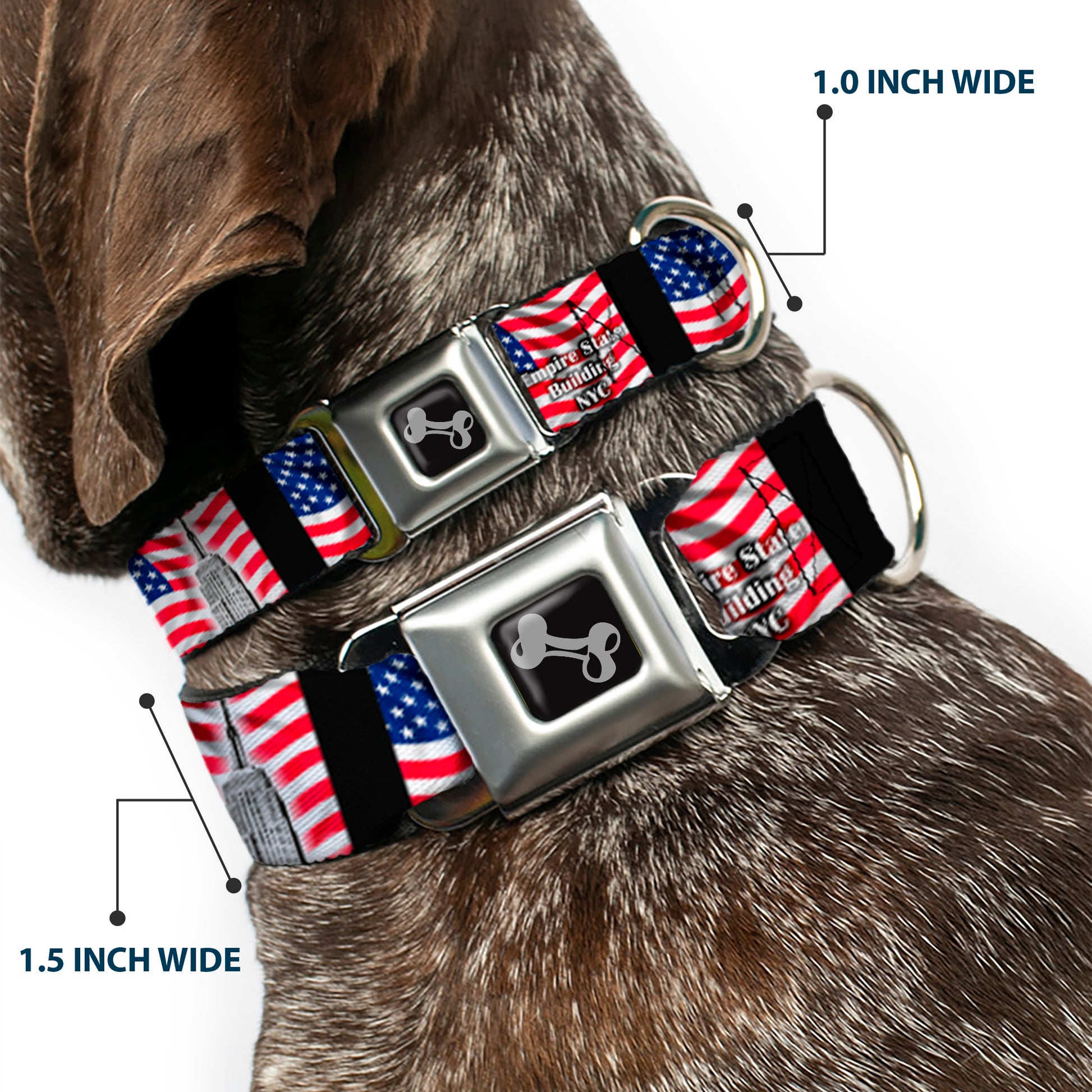 Dog Bone Seatbelt Buckle Collar - Empire State Building NYC Seatbelt Buckle Collars Buckle-Down