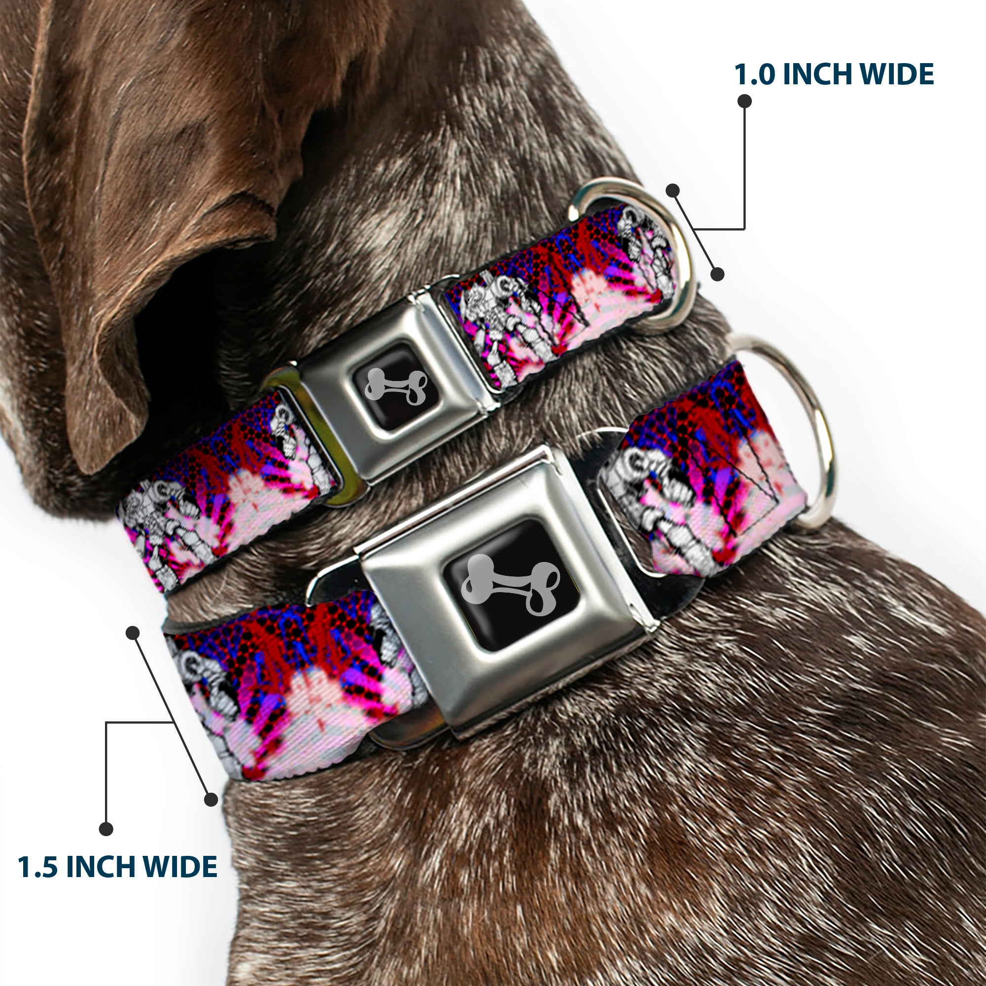 Dog Bone Seatbelt Buckle Collar - Evoke 2 RoboBear Seatbelt Buckle Collars Buckle-Down