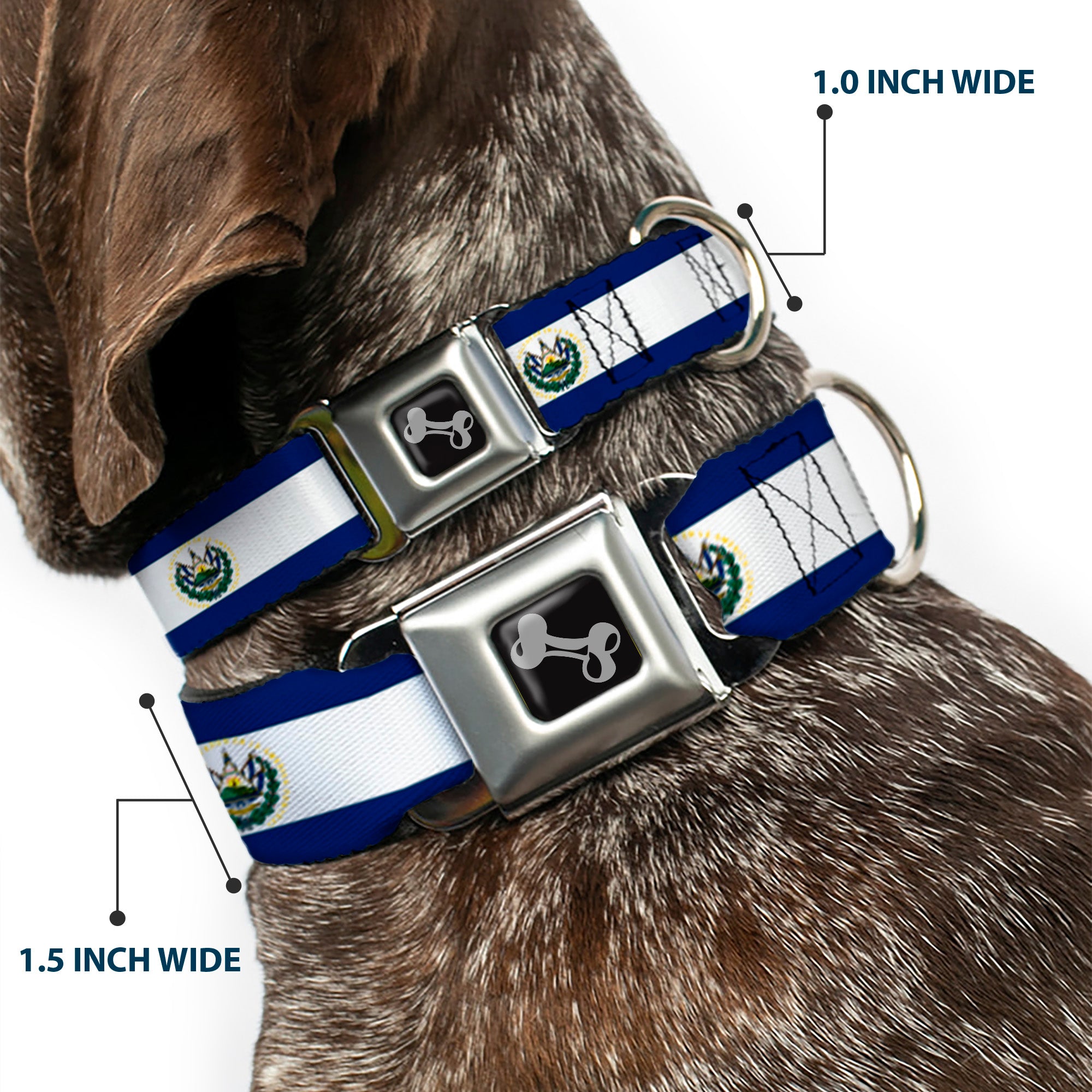 Dog Bone Seatbelt Buckle Collar - El Salvador Flag Seatbelt Buckle Collars Buckle-Down