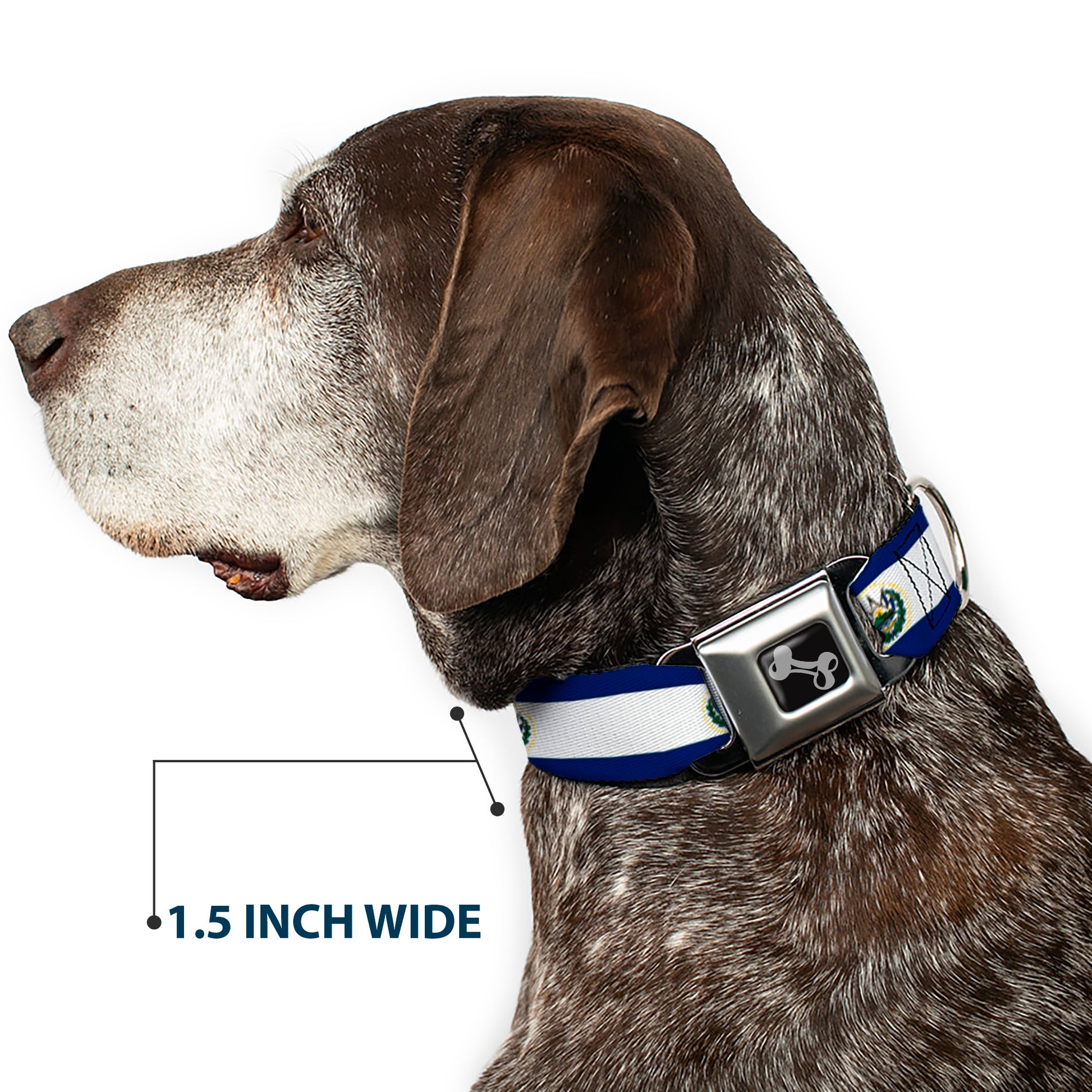 Dog Bone Seatbelt Buckle Collar - El Salvador Flag Seatbelt Buckle Collars Buckle-Down