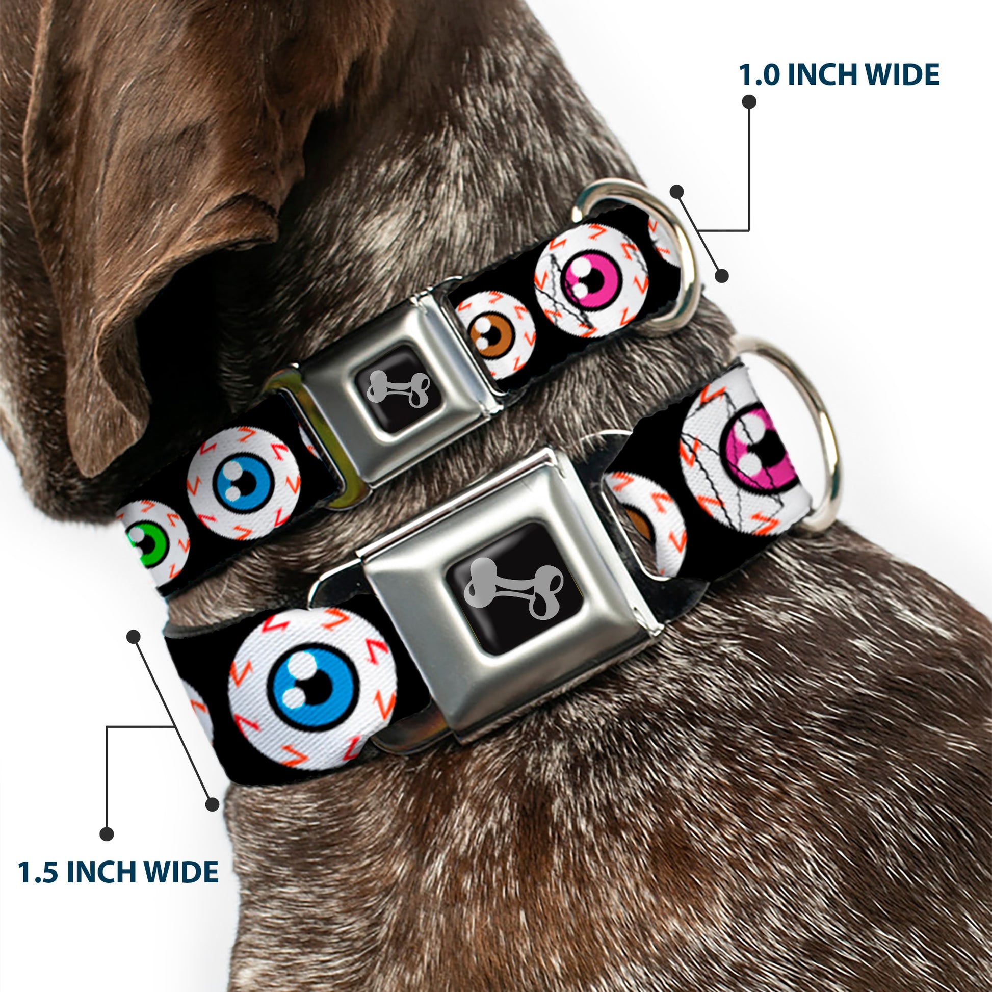 Dog Bone Seatbelt Buckle Collar - Eyeballs Black/Multi Color Seatbelt Buckle Collars Buckle-Down