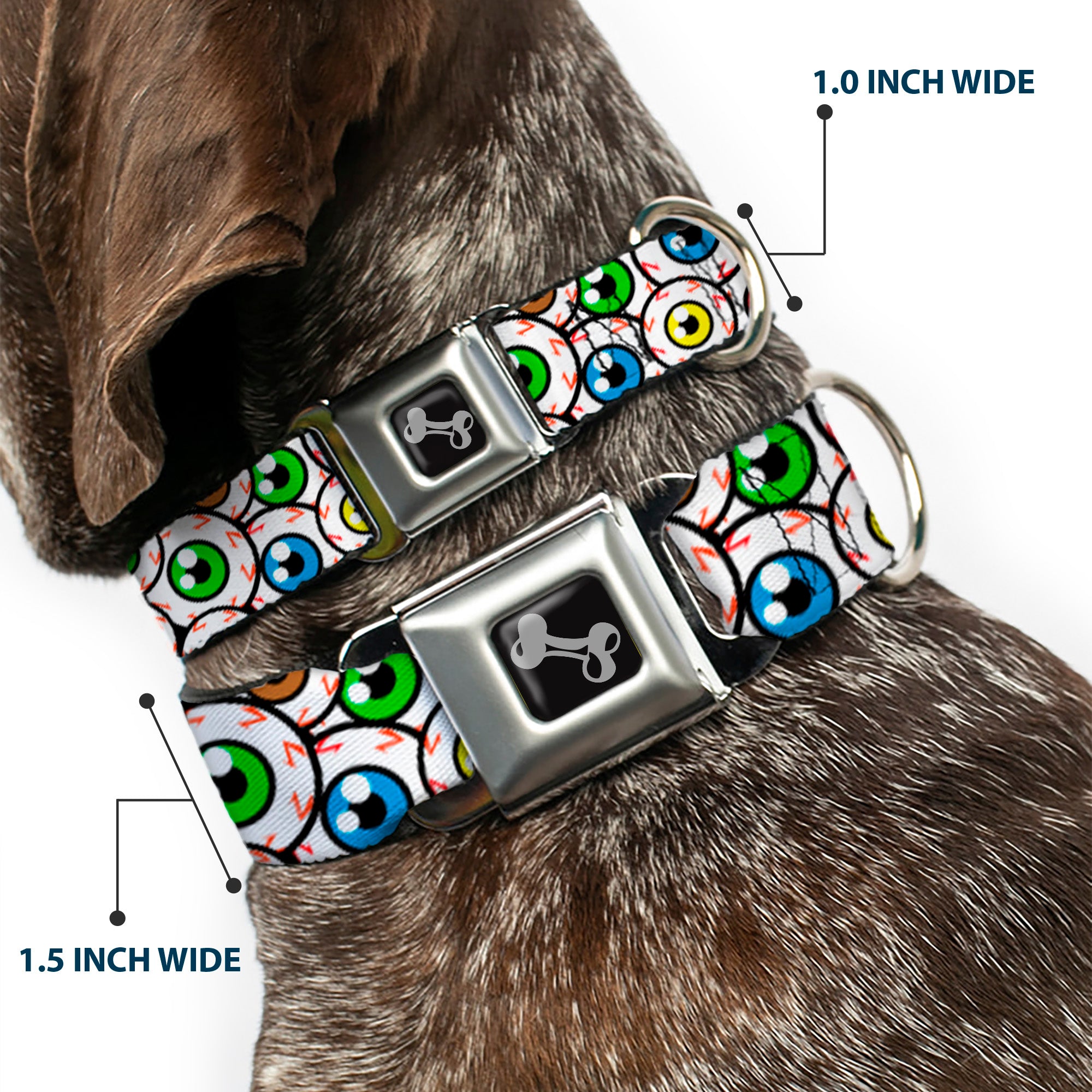 Dog Bone Seatbelt Buckle Collar - Eyeballs Stacked Seatbelt Buckle Collars Buckle-Down