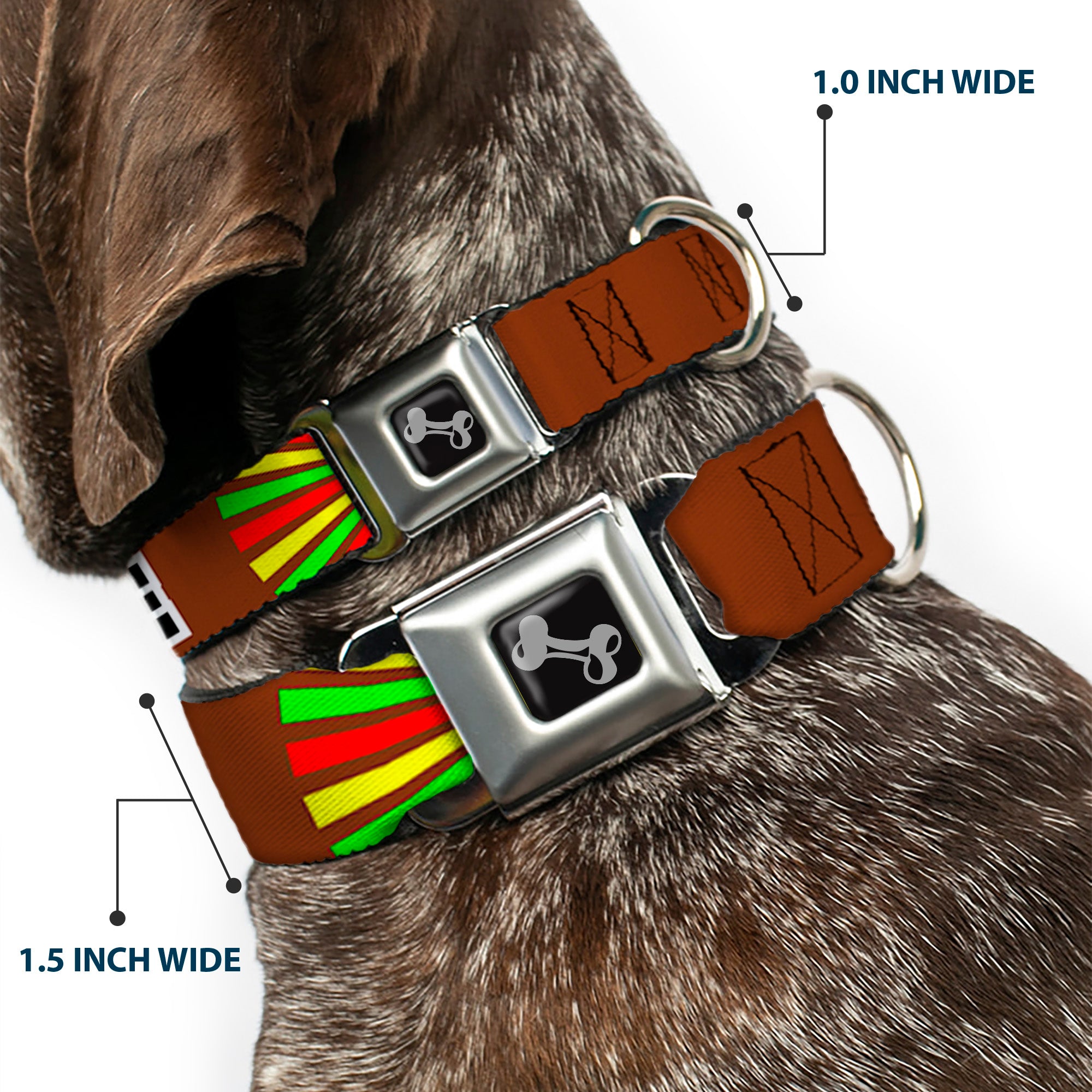 Dog Bone Seatbelt Buckle Collar - EAT SLEEP SKATE Brown/Rasta Burst Seatbelt Buckle Collars Buckle-Down