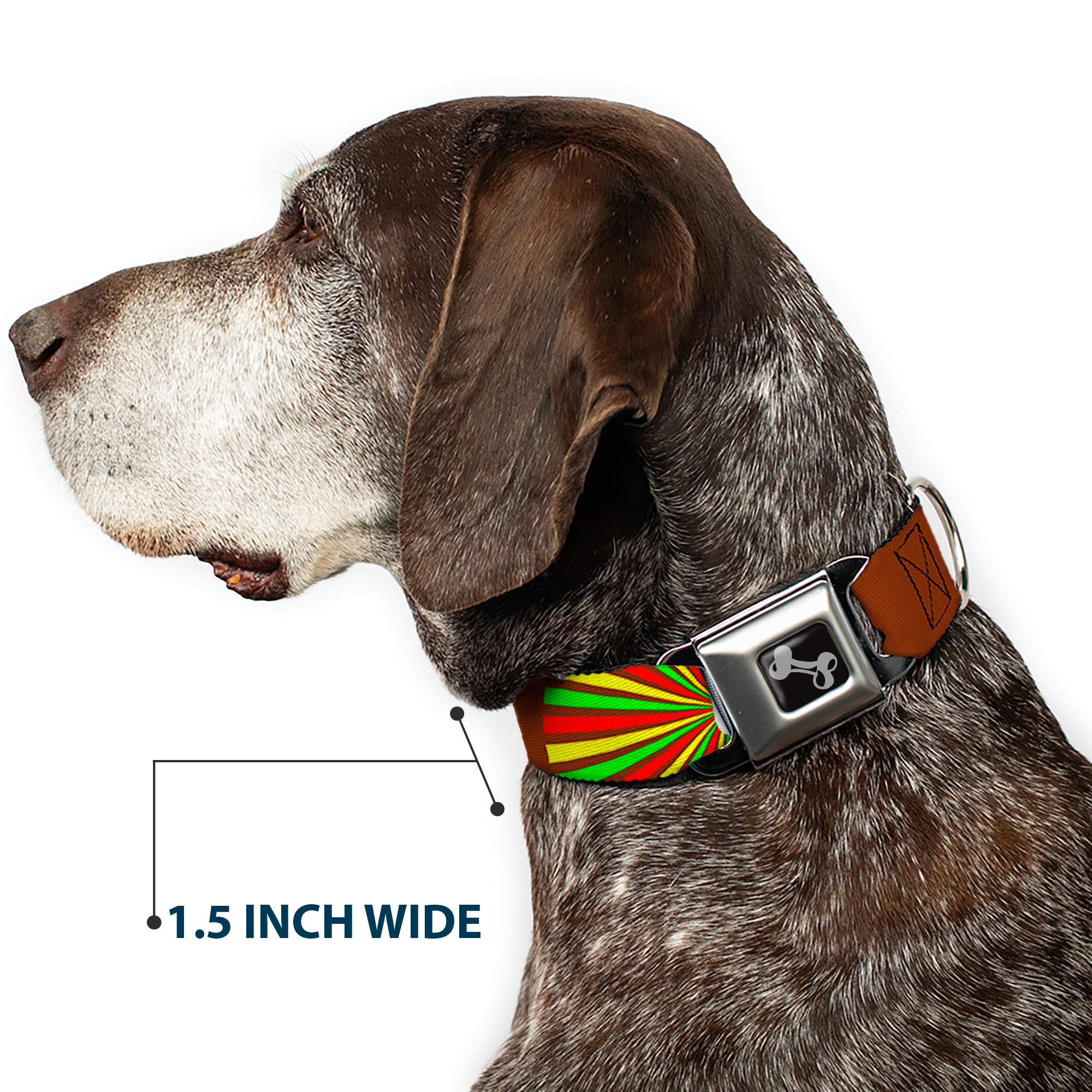 Dog Bone Seatbelt Buckle Collar - EAT SLEEP SKATE Brown/Rasta Burst Seatbelt Buckle Collars Buckle-Down