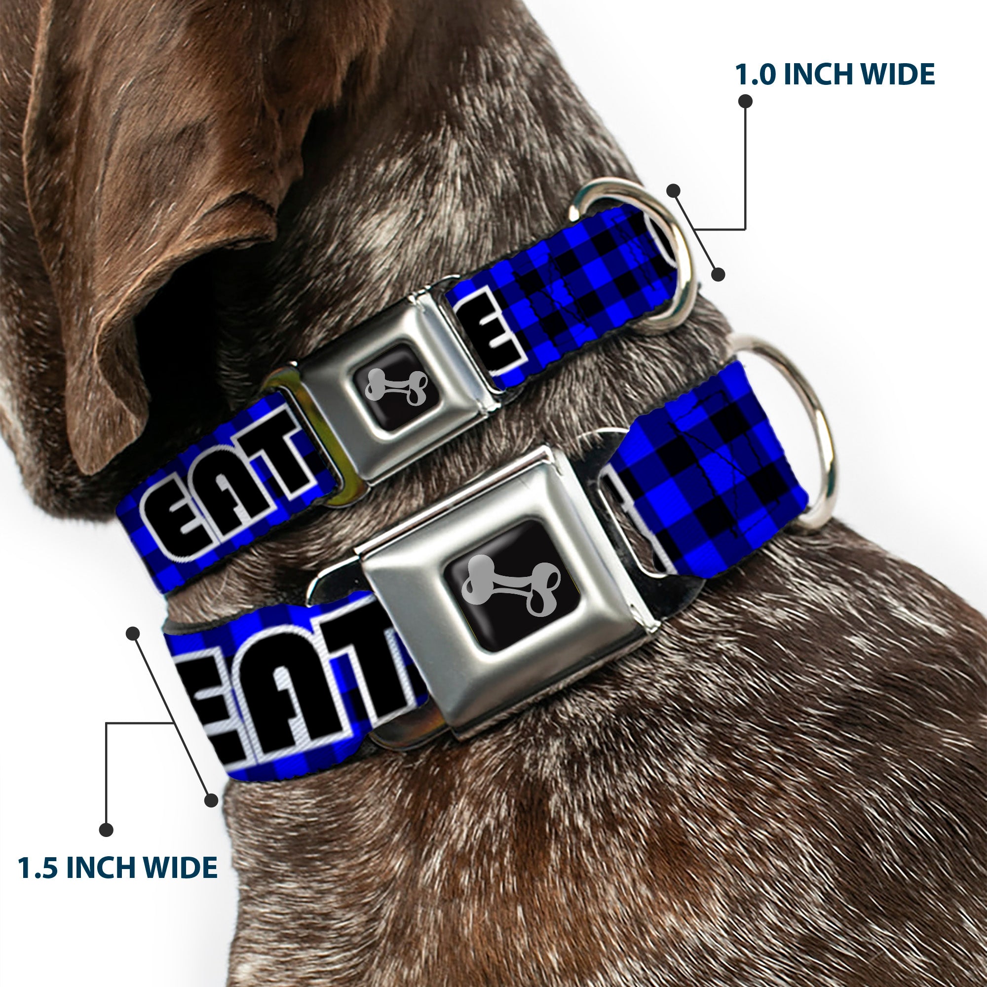 Dog Bone Seatbelt Buckle Collar - EAT SLEEP SKATE Buffalo Plaid Blue Seatbelt Buckle Collars Buckle-Down