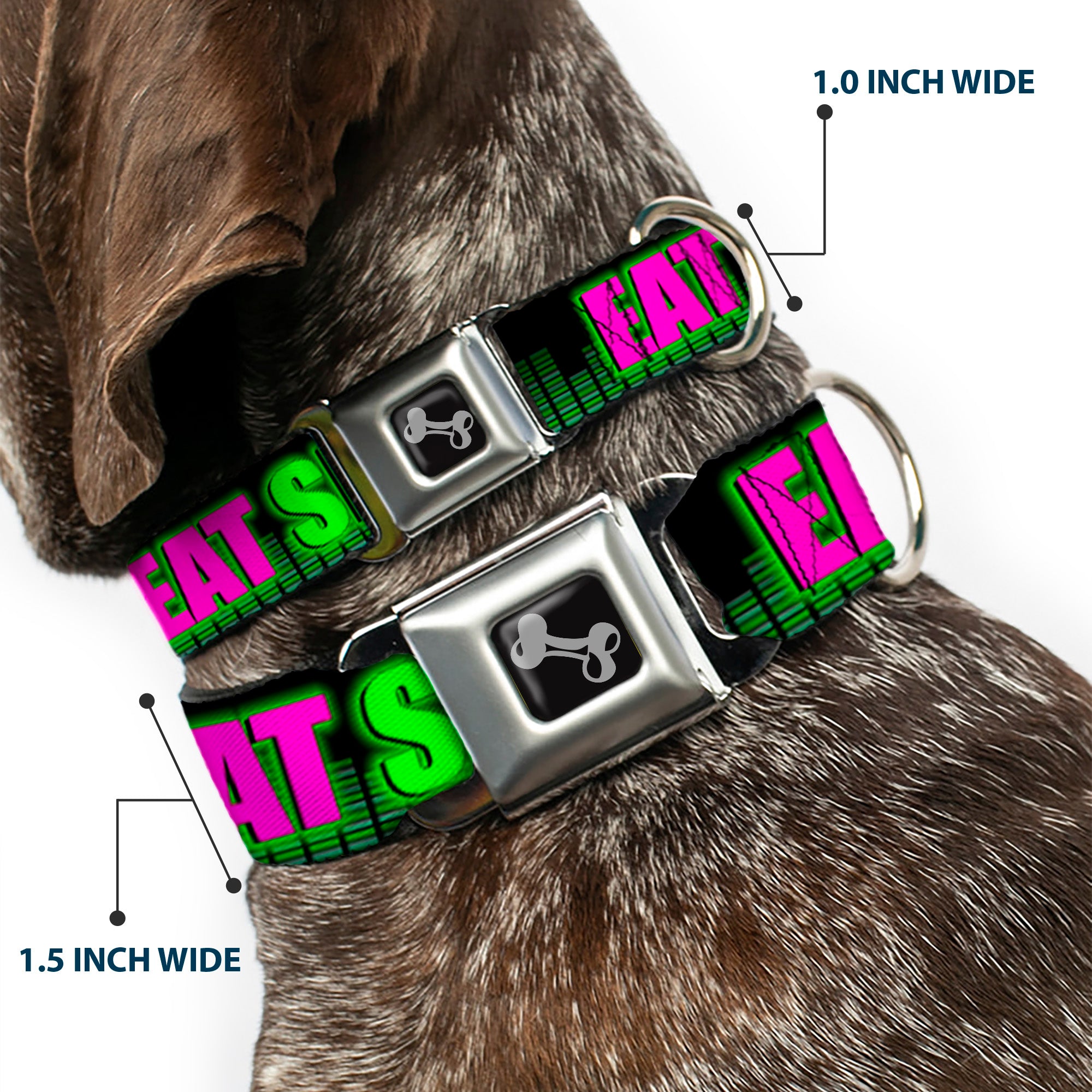 Buckle-Down Seatbelt Buckle Dog Collar - EAT SLEEP RAVE REPEAT Black/Multi Neon Seatbelt Buckle Collars Buckle-Down