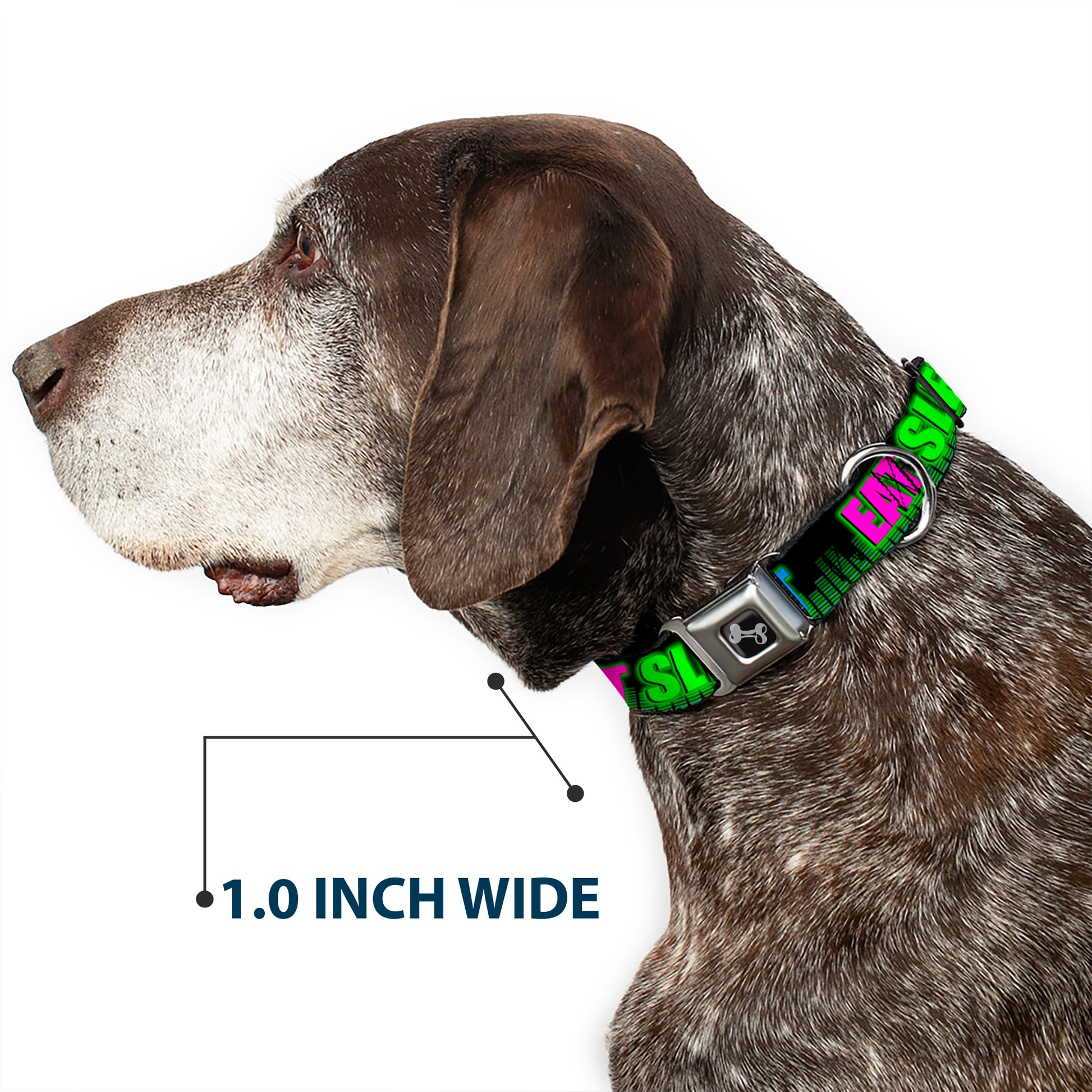 Buckle-Down Seatbelt Buckle Dog Collar - EAT SLEEP RAVE REPEAT Black/Multi Neon Seatbelt Buckle Collars Buckle-Down