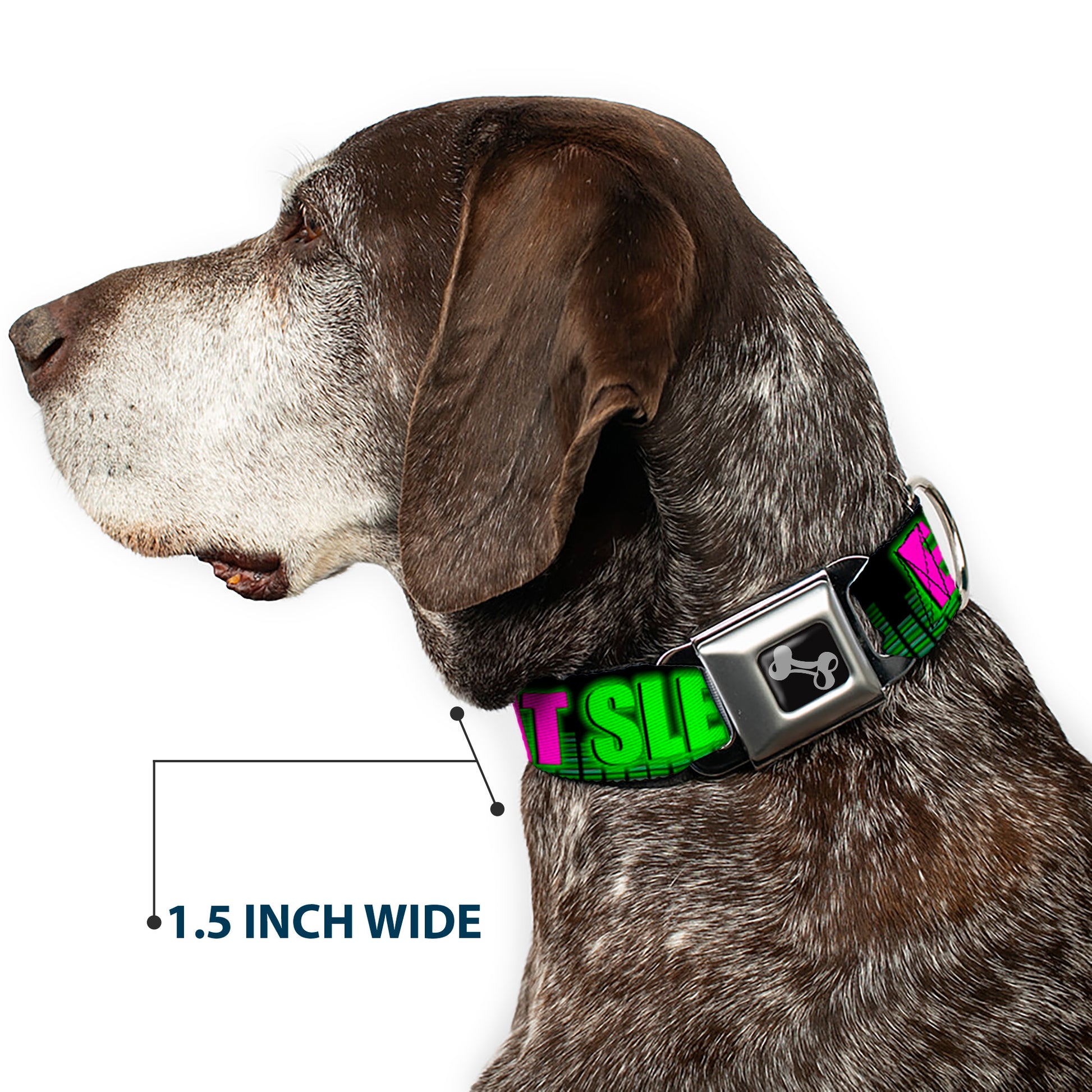 Buckle-Down Seatbelt Buckle Dog Collar - EAT SLEEP RAVE REPEAT Black/Multi Neon Seatbelt Buckle Collars Buckle-Down