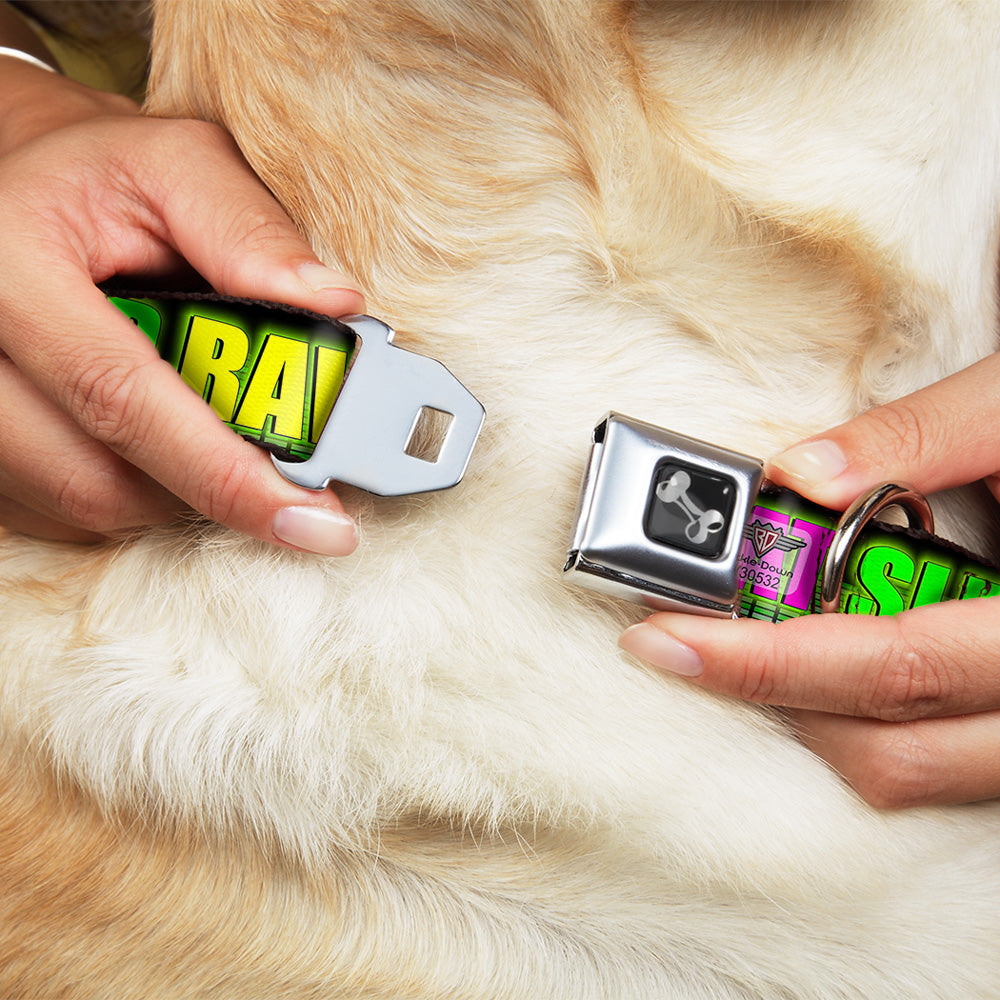 Buckle-Down Seatbelt Buckle Dog Collar - EAT SLEEP RAVE REPEAT Black/Multi Neon Seatbelt Buckle Collars Buckle-Down