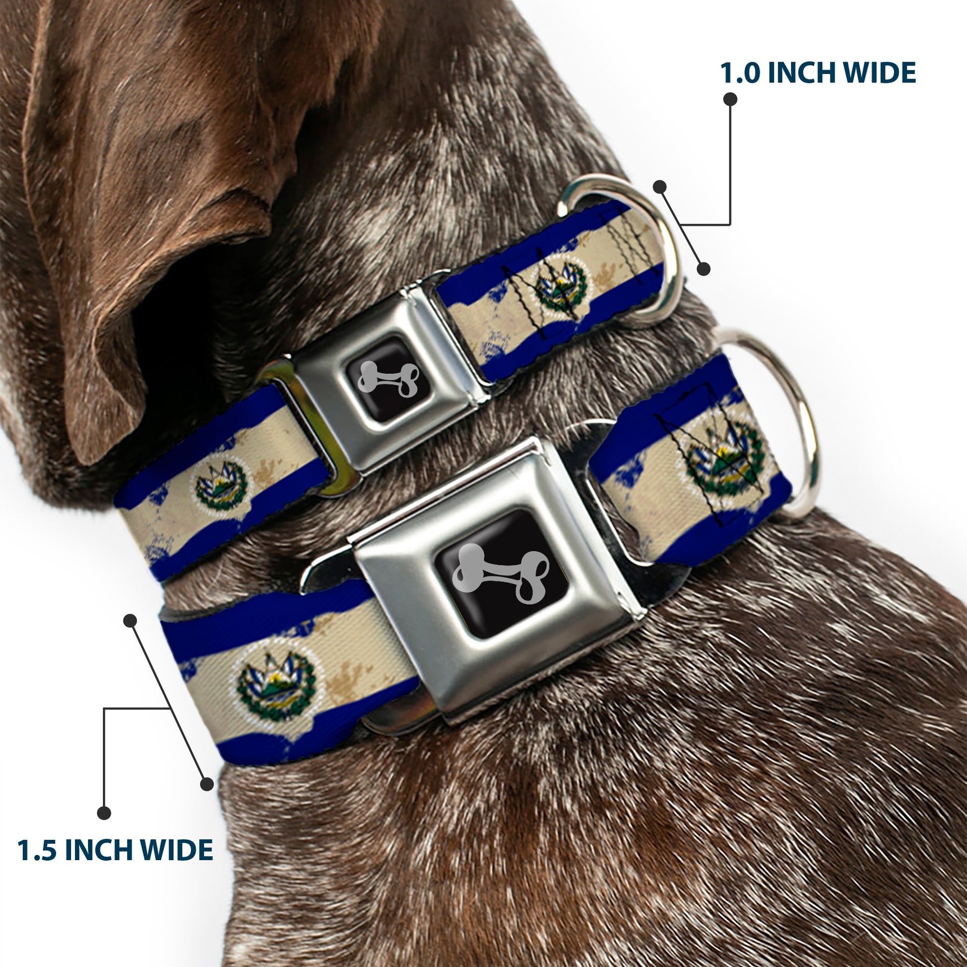 Dog Bone Seatbelt Buckle Collar - El Salvador Flag Distressed Painting Seatbelt Buckle Collars Buckle-Down