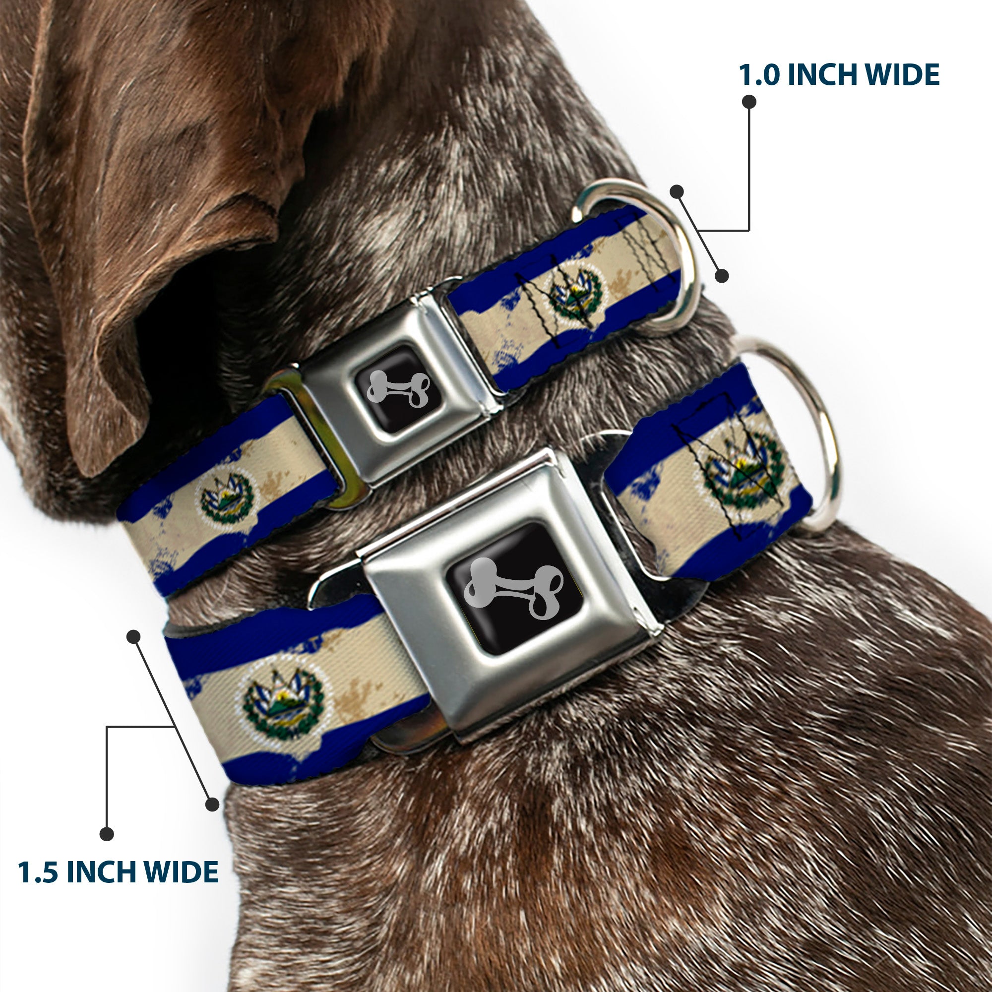 Dog Bone Seatbelt Buckle Collar - El Salvador Flag Distressed Painting Seatbelt Buckle Collars Buckle-Down