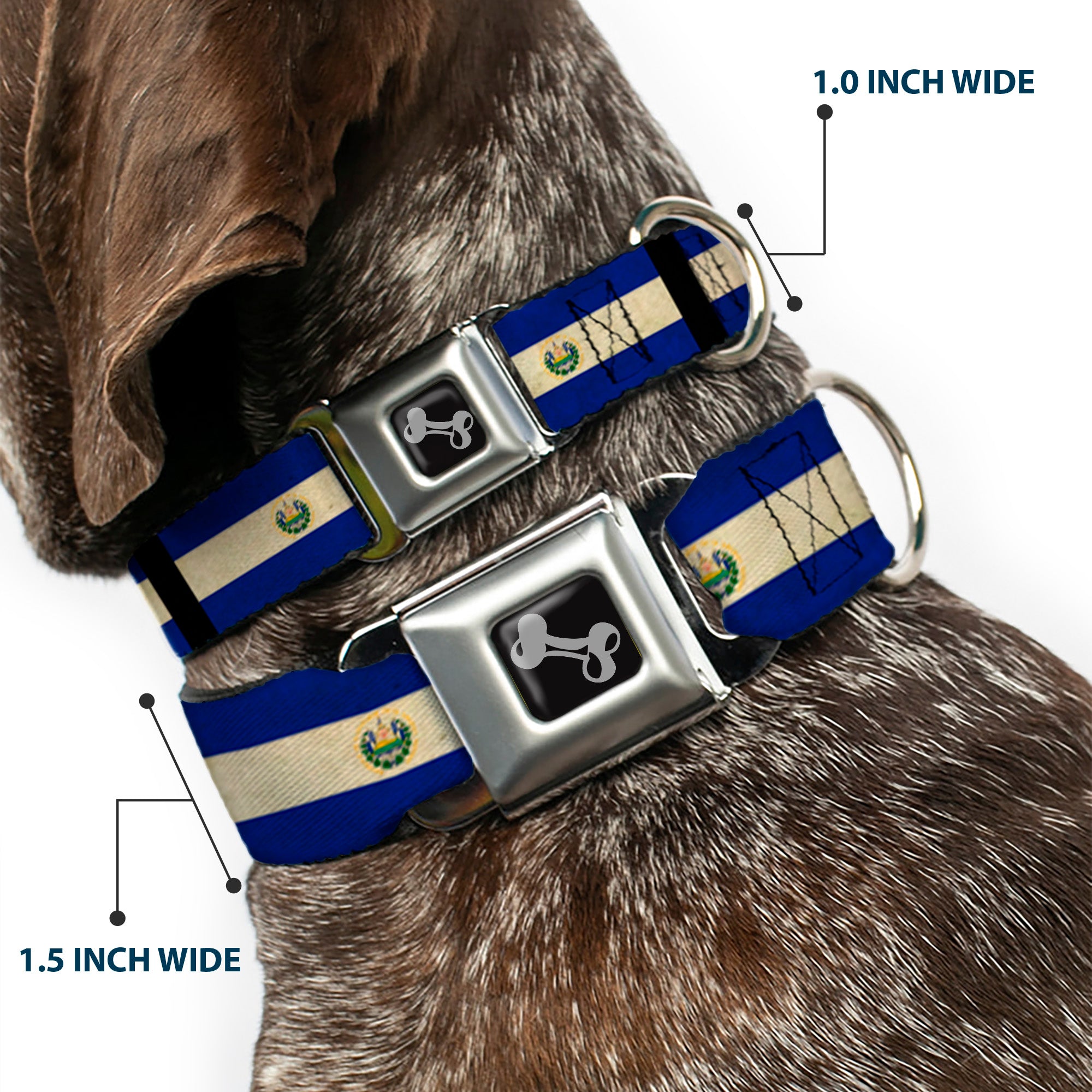 Dog Bone Seatbelt Buckle Collar - El Salvador Flag/Black Seatbelt Buckle Collars Buckle-Down
