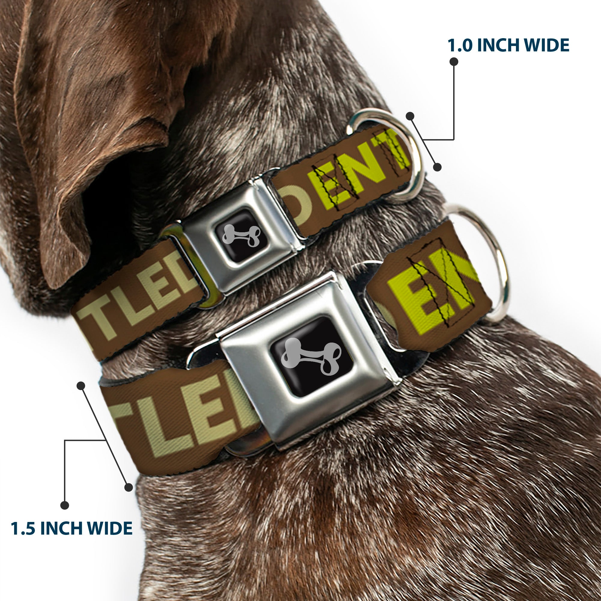 Dog Bone Seatbelt Buckle Collar - ENTITLED Tonal Greens Seatbelt Buckle Collars Buckle-Down
