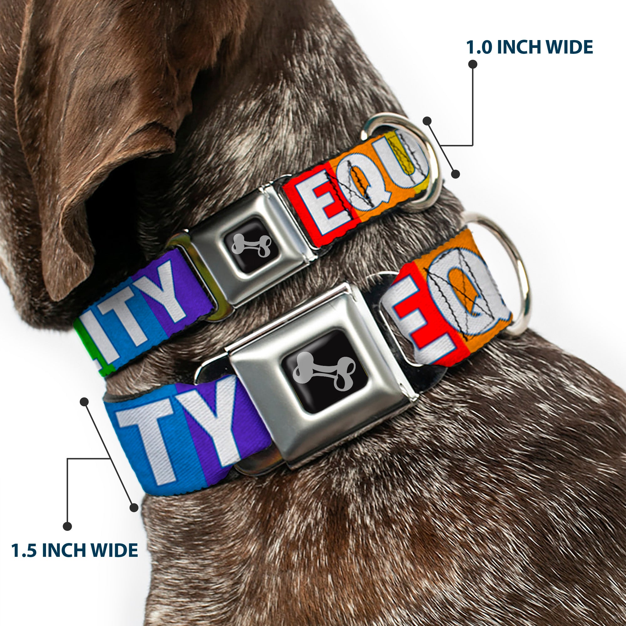Dog Bone Black/Silver Seatbelt Buckle Collar - EQUALITY Blocks Rainbow/Blue/White Seatbelt Buckle Collars Buckle-Down