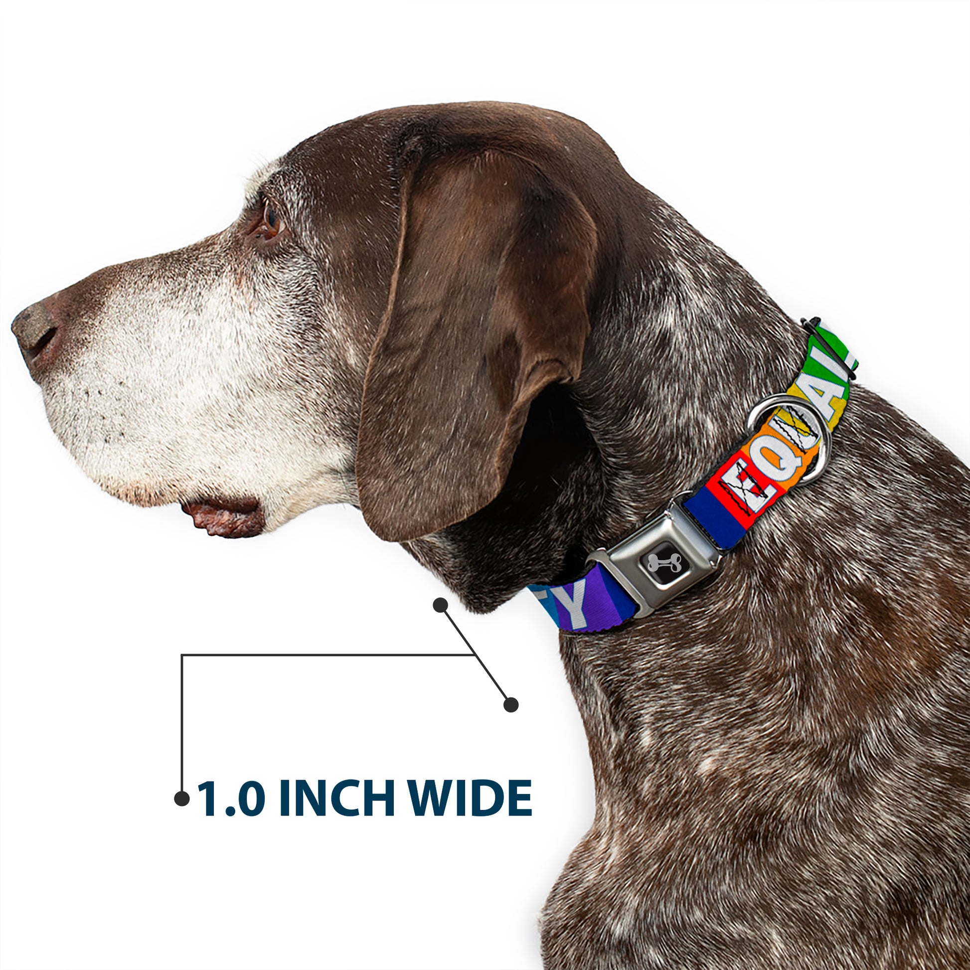 Dog Bone Black/Silver Seatbelt Buckle Collar - EQUALITY Blocks Rainbow/Blue/White Seatbelt Buckle Collars Buckle-Down