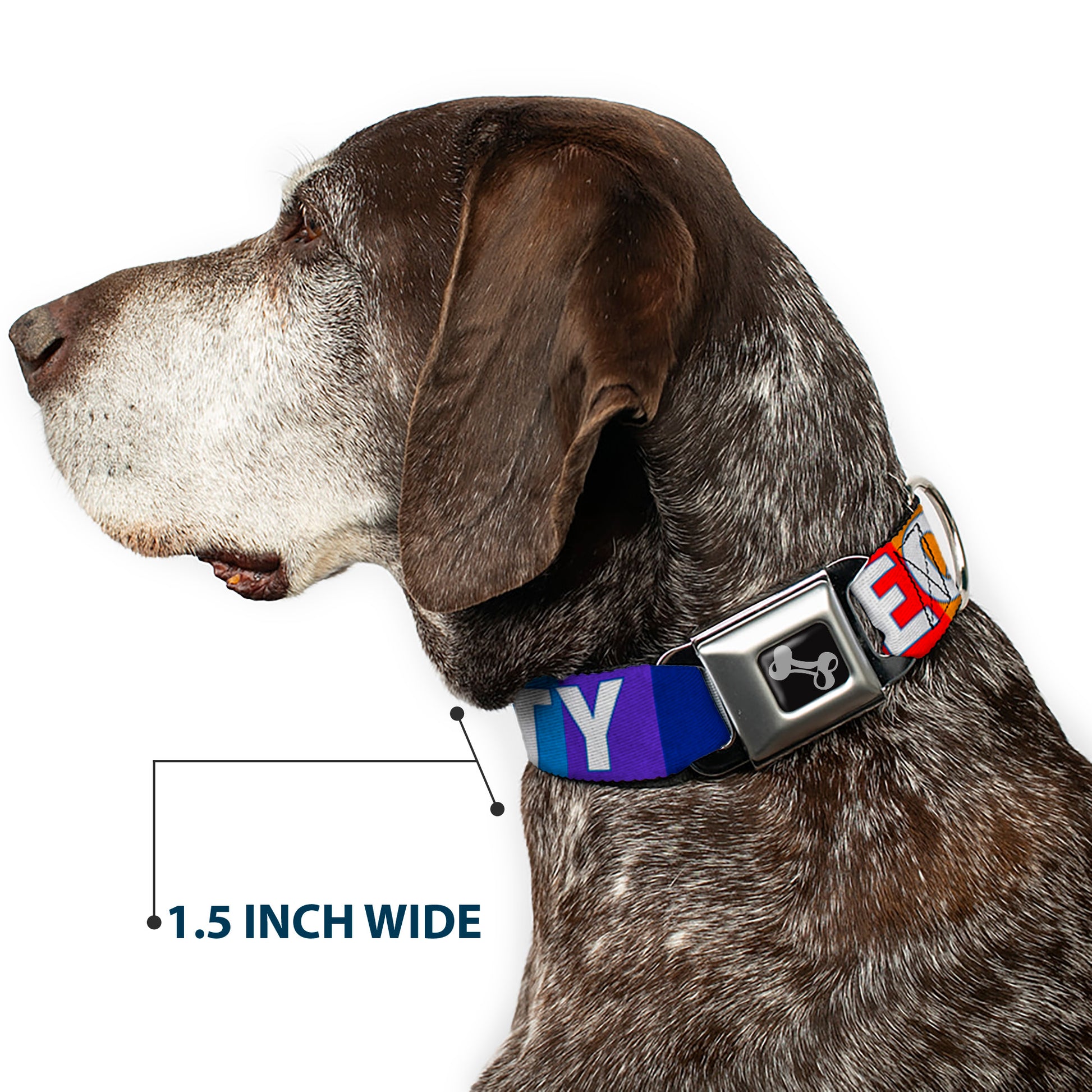 Dog Bone Black/Silver Seatbelt Buckle Collar - EQUALITY Blocks Rainbow/Blue/White Seatbelt Buckle Collars Buckle-Down