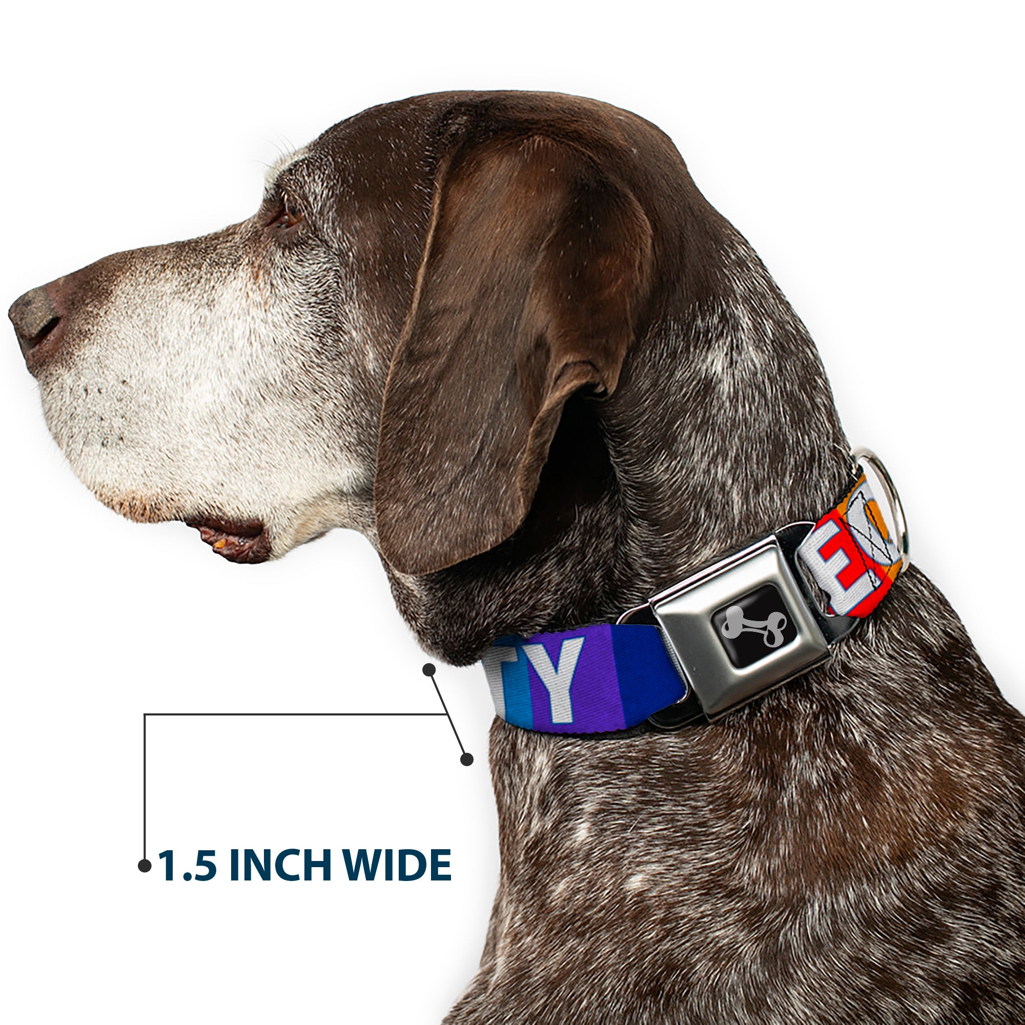 Dog Bone Black/Silver Seatbelt Buckle Collar - EQUALITY Blocks Rainbow/Blue/White Seatbelt Buckle Collars Buckle-Down