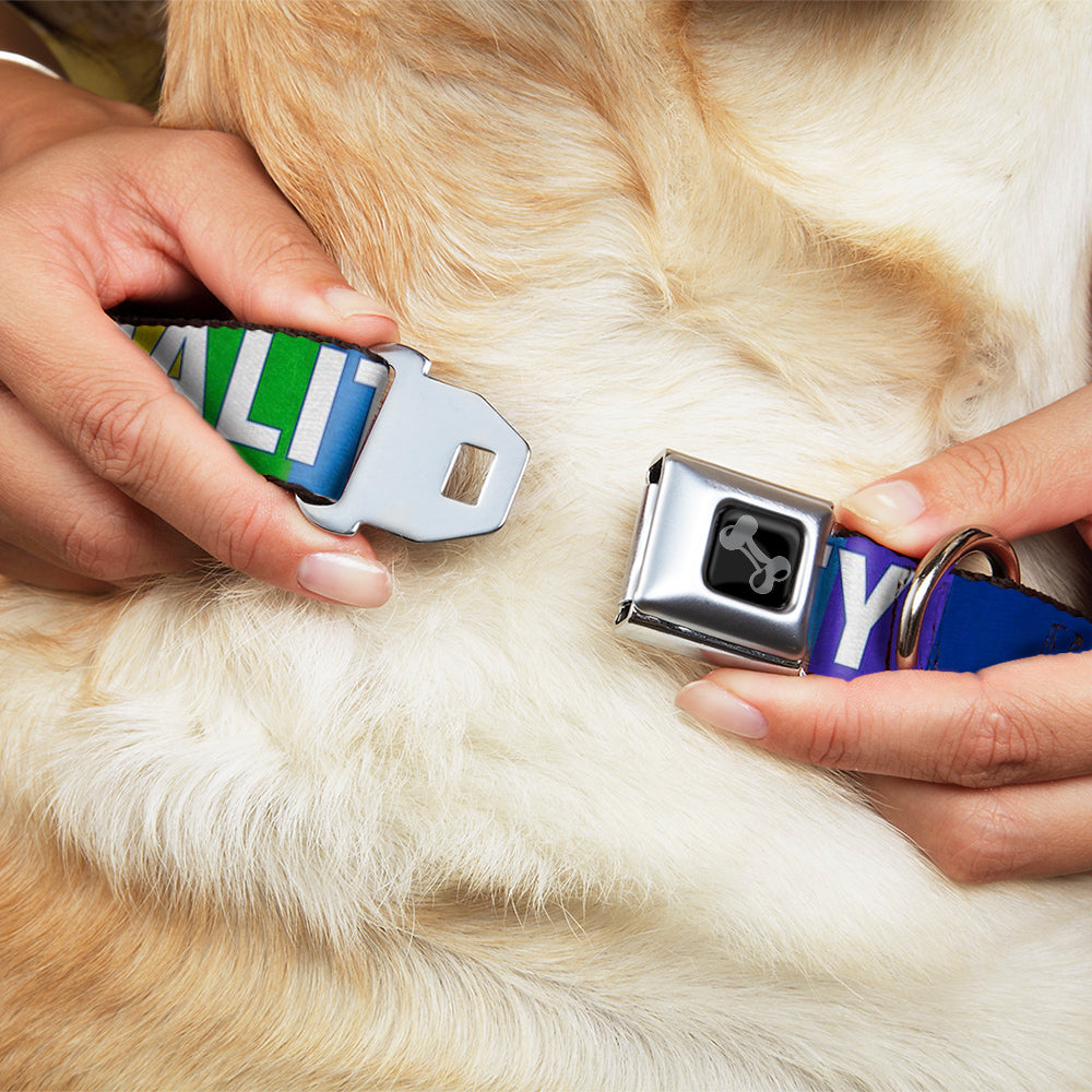 Dog Bone Black/Silver Seatbelt Buckle Collar - EQUALITY Blocks Rainbow/Blue/White Seatbelt Buckle Collars Buckle-Down