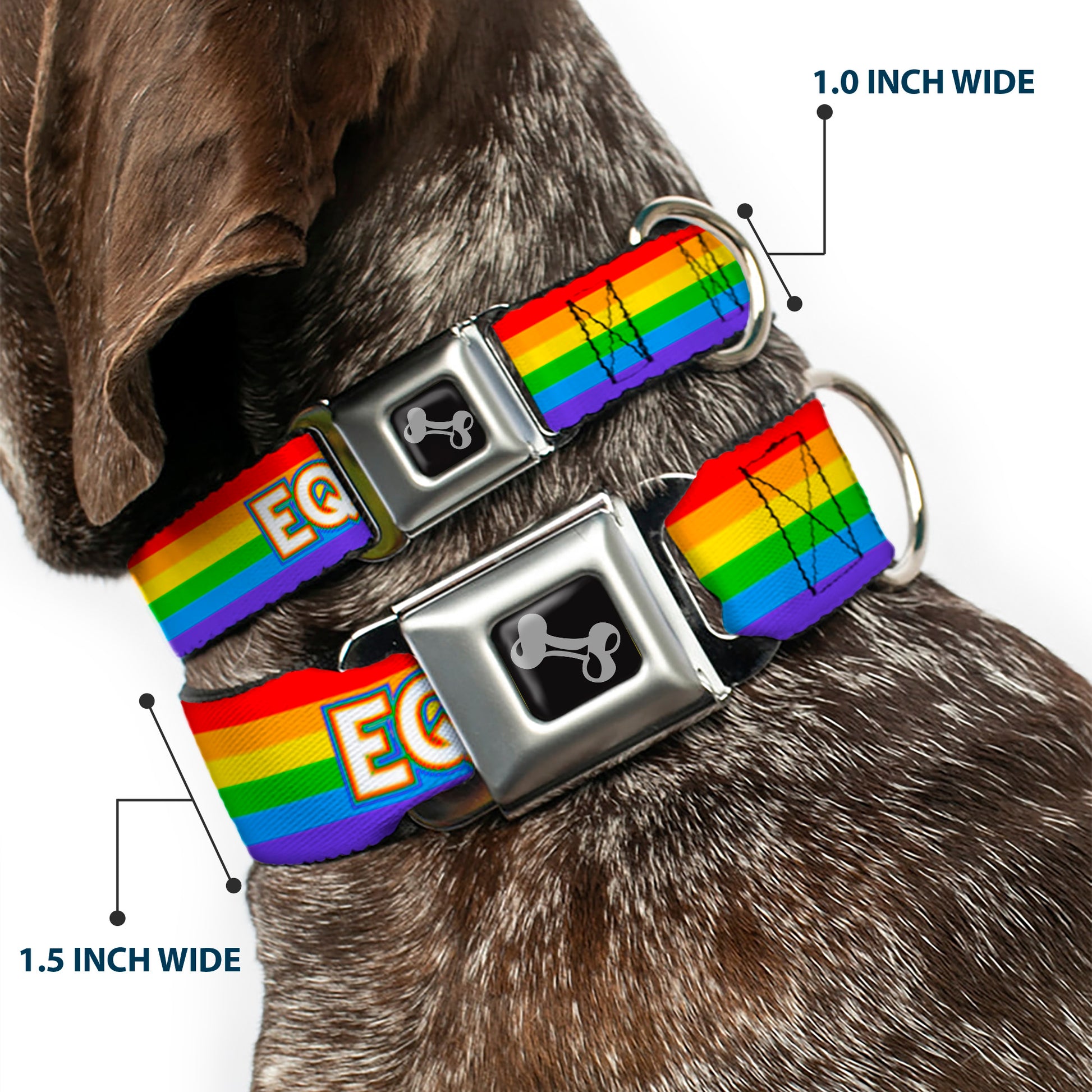 Dog Bone Black/Silver Seatbelt Buckle Collar - EQUALITY/Stripe Rainbow/White Seatbelt Buckle Collars Buckle-Down