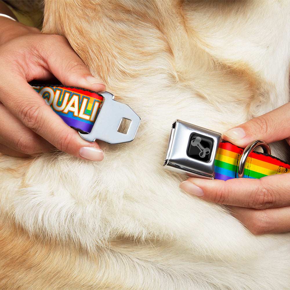 Dog Bone Black/Silver Seatbelt Buckle Collar - EQUALITY/Stripe Rainbow/White Seatbelt Buckle Collars Buckle-Down