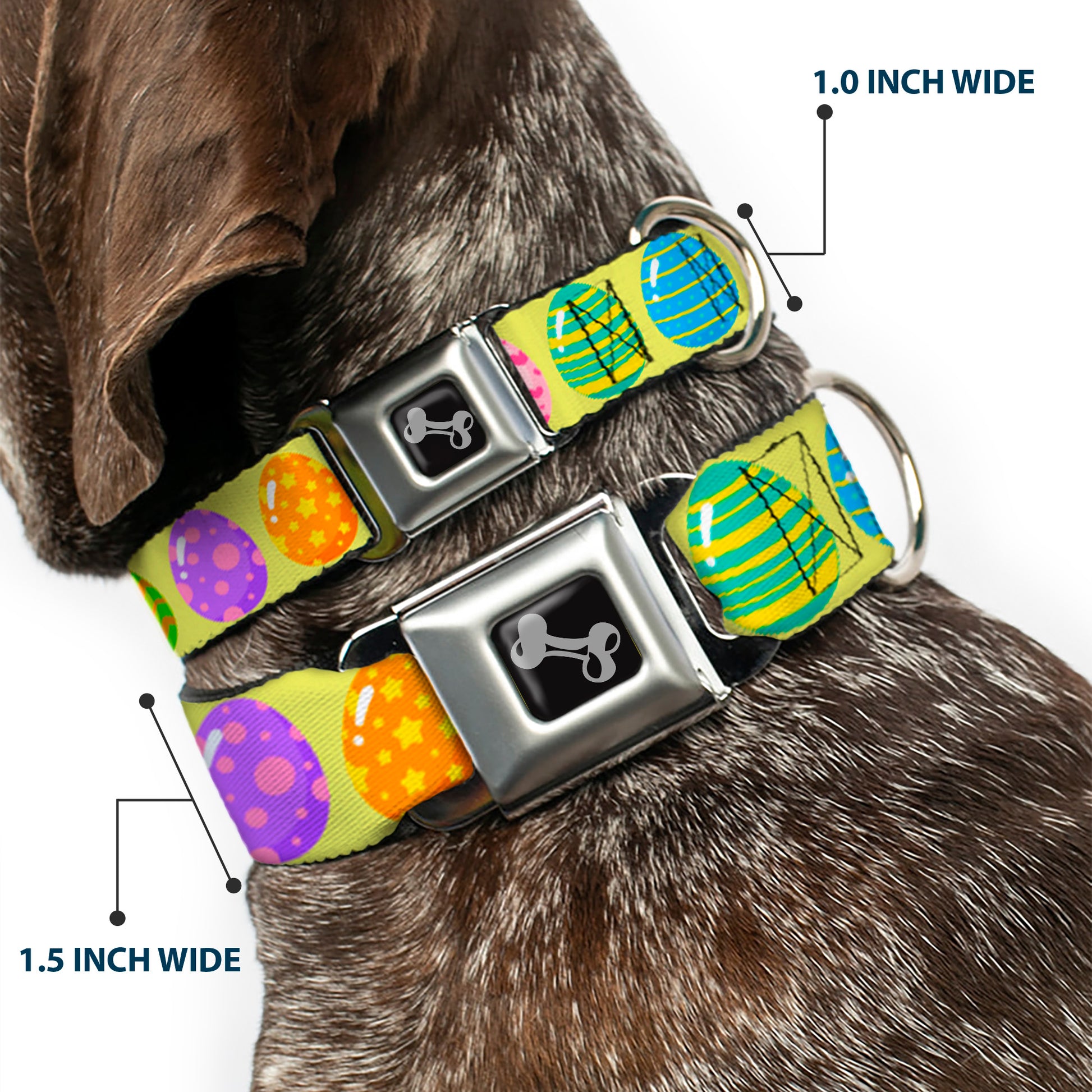 Dog Bone Black/Silver Seatbelt Buckle Collar - Easter Eggs Decorated Eggs Yellow/Multi Color Seatbelt Buckle Collars Buckle-Down
