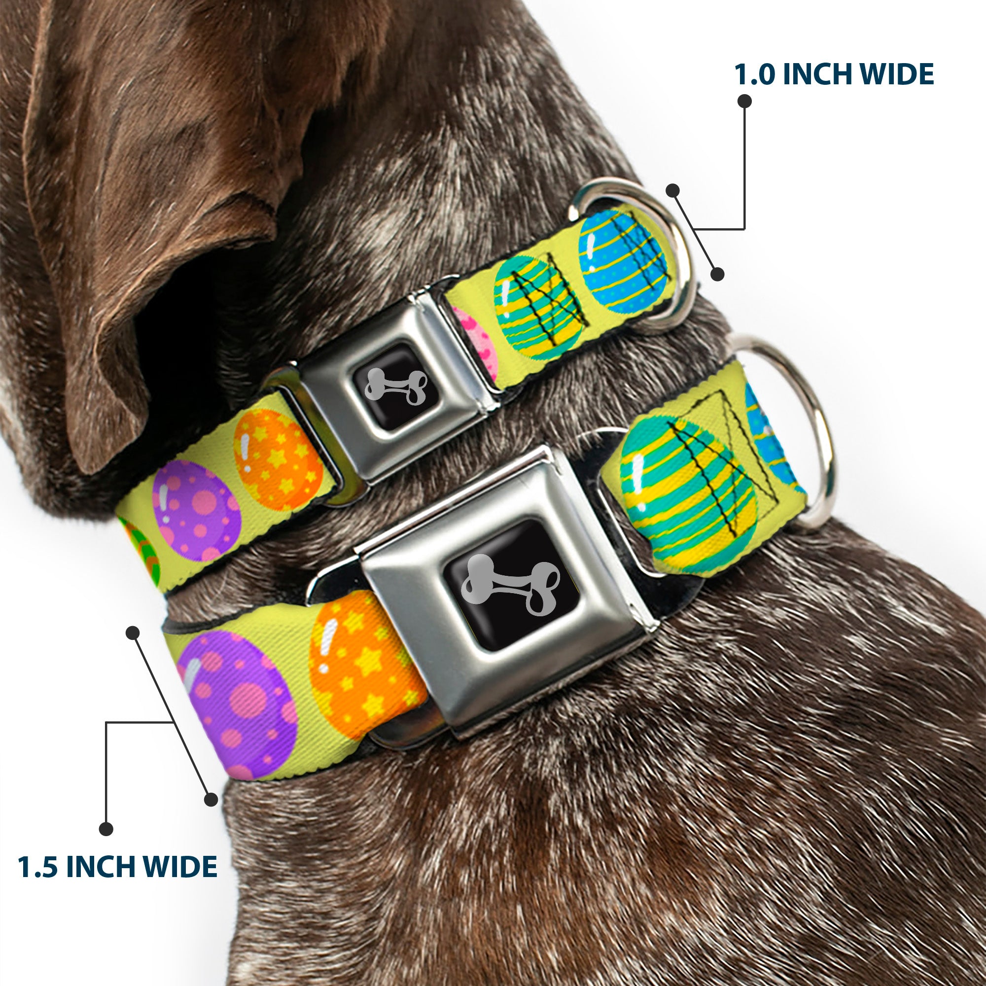 Dog Bone Black/Silver Seatbelt Buckle Collar - Easter Eggs Decorated Eggs Yellow/Multi Color Seatbelt Buckle Collars Buckle-Down