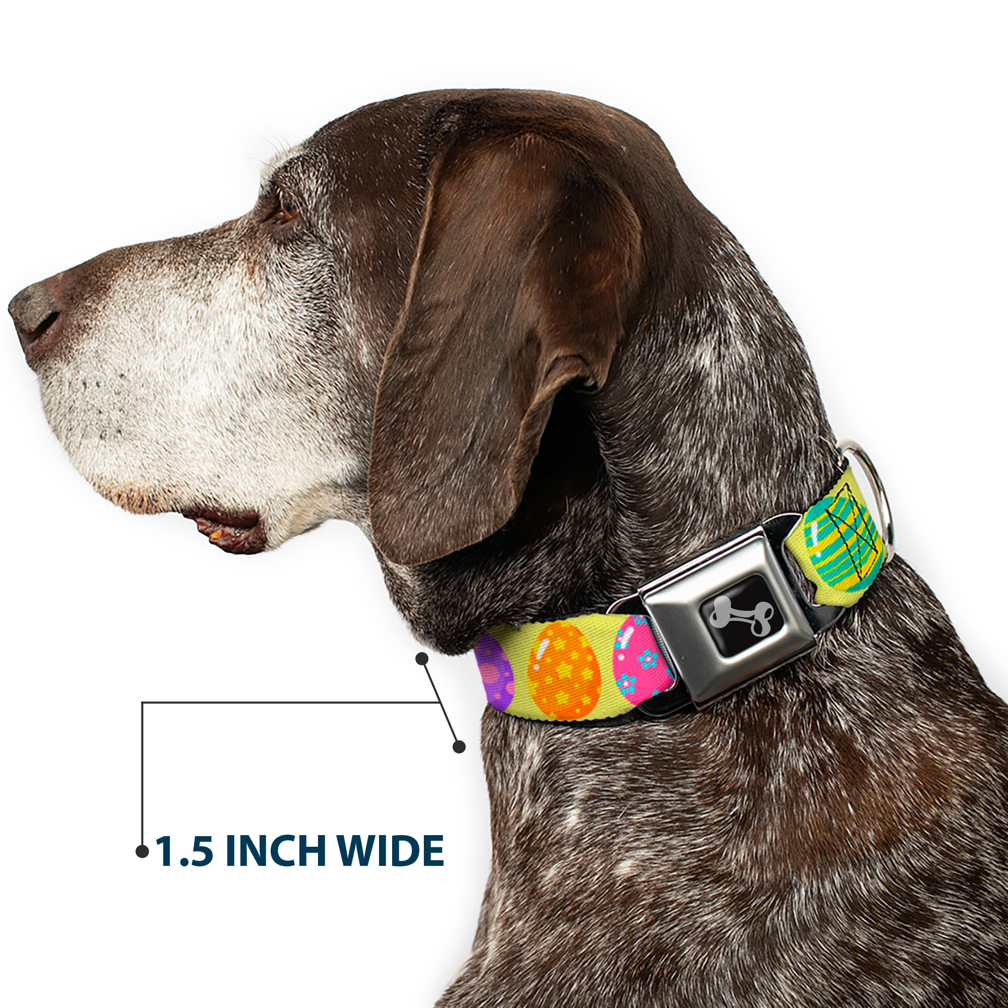 Dog Bone Black/Silver Seatbelt Buckle Collar - Easter Eggs Decorated Eggs Yellow/Multi Color Seatbelt Buckle Collars Buckle-Down