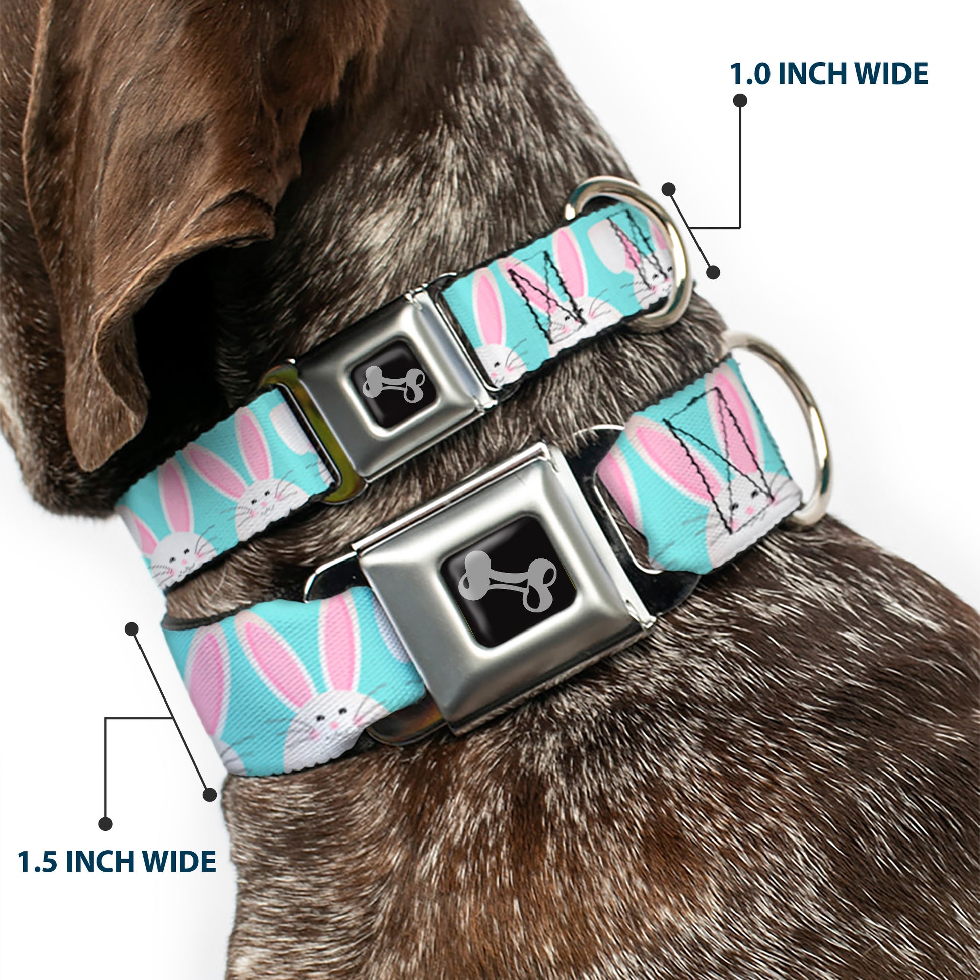 Dog Bone Black/Silver Seatbelt Buckle Collar - Easter Bunnies Smiling Sky Blue Seatbelt Buckle Collars Buckle-Down