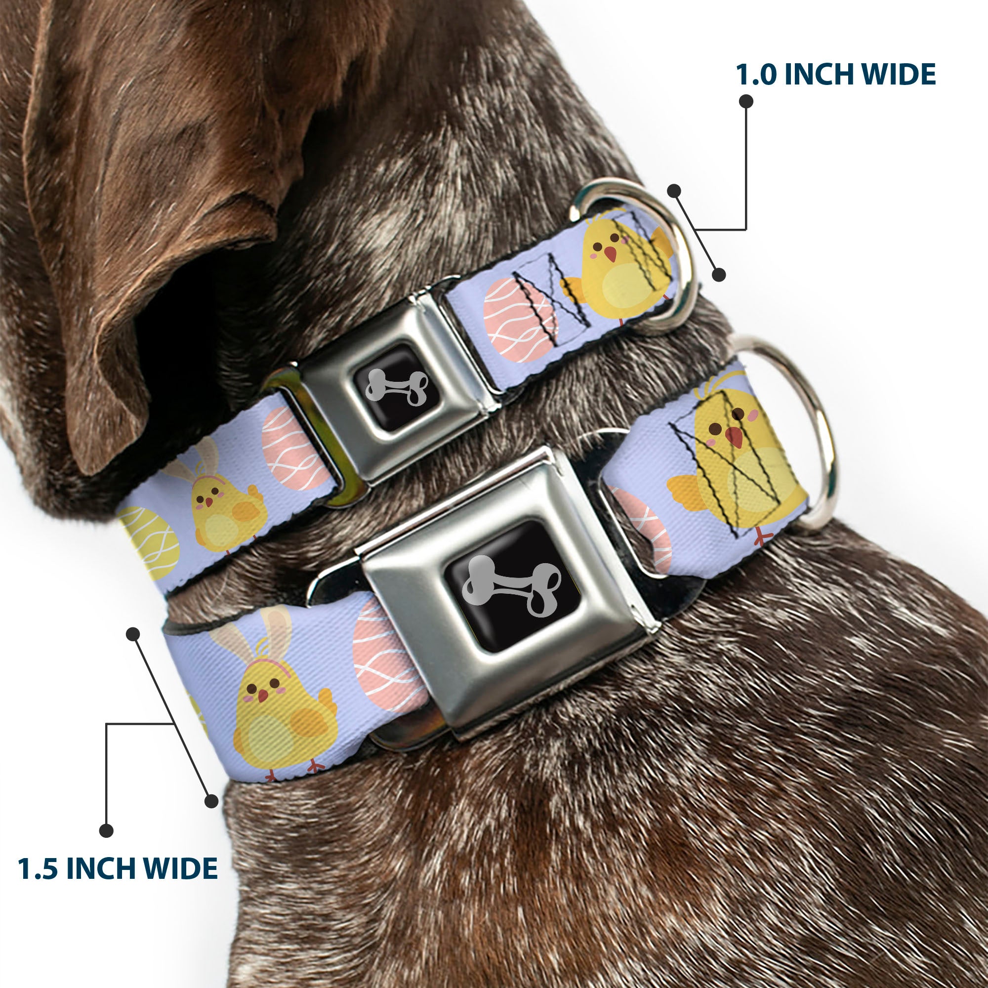 Dog Bone Black/Silver Seatbelt Buckle Collar - Easter Chicks and Eggs Lavender Seatbelt Buckle Collars Buckle-Down