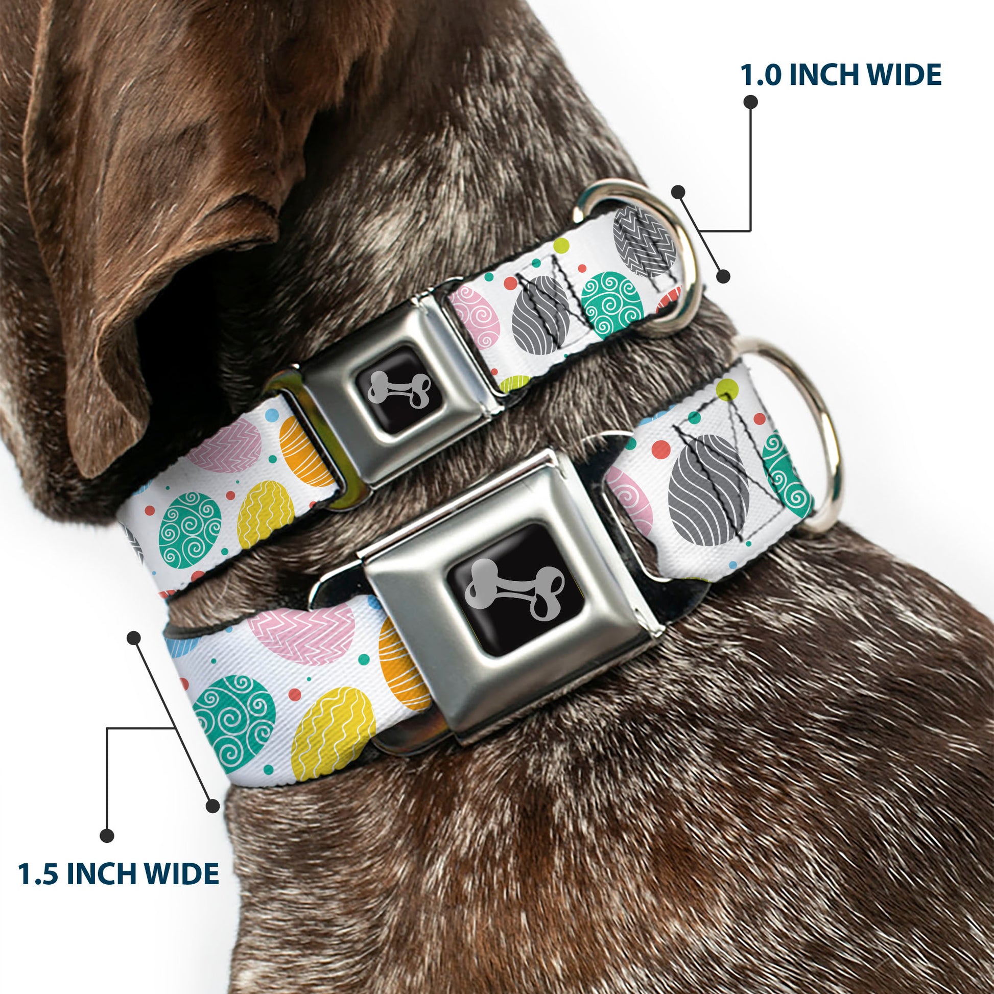 Dog Bone Black/Silver Seatbelt Buckle Collar - Easter Eggs Decorated Eggs Scattered White/Multi Color Seatbelt Buckle Collars Buckle-Down