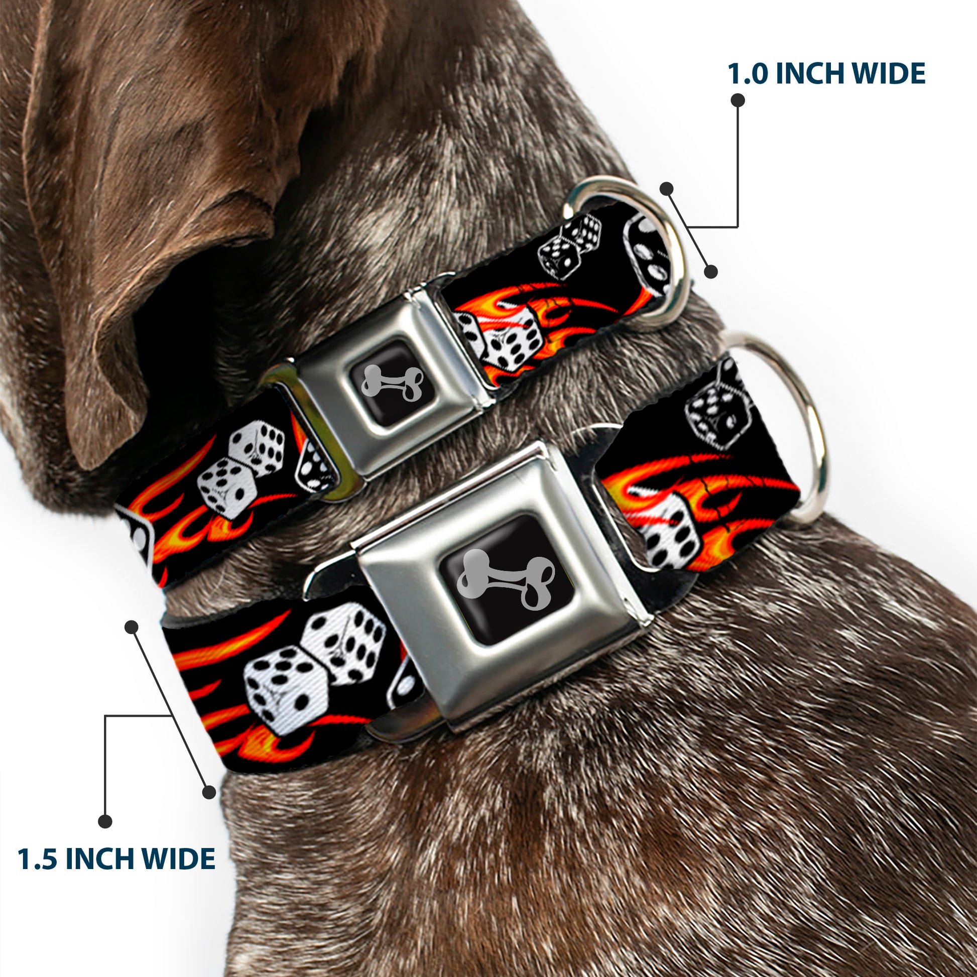 Dog Bone Seatbelt Buckle Collar - Flaming Dice Seatbelt Buckle Collars Buckle-Down