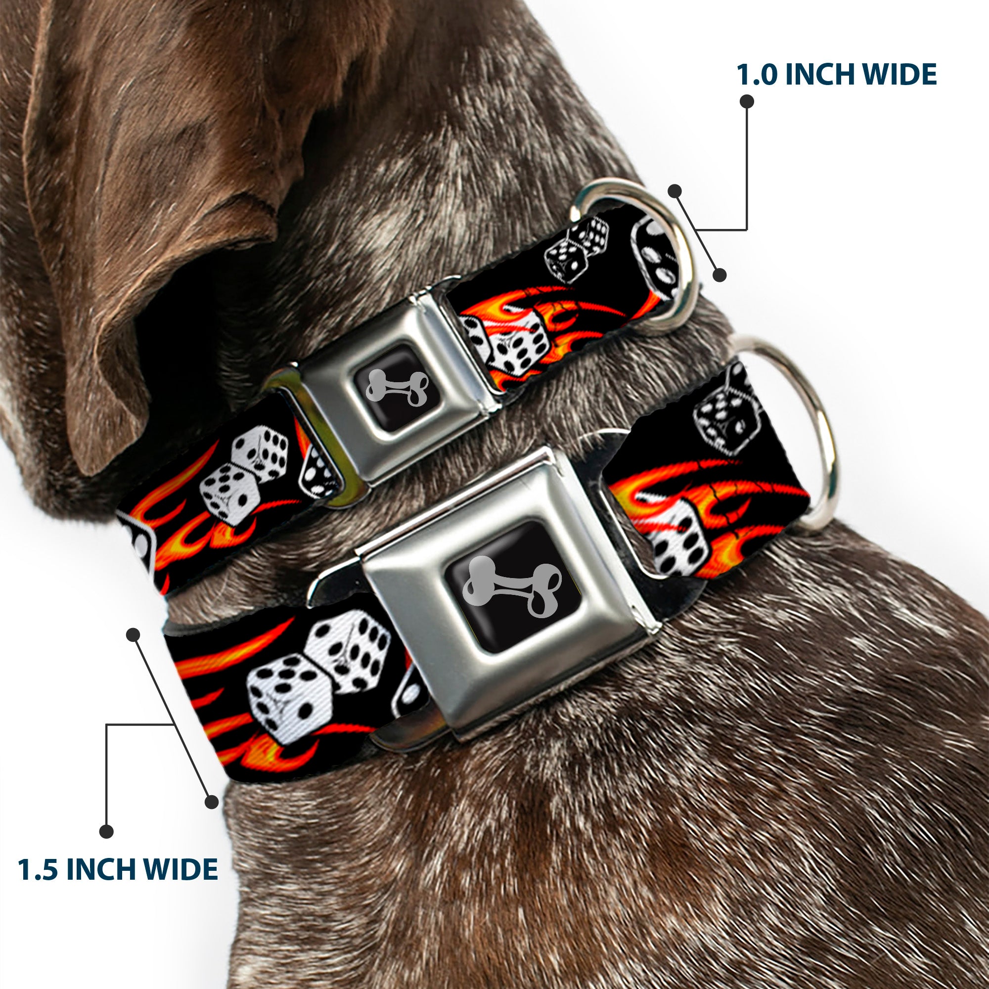 Dog Bone Seatbelt Buckle Collar - Flaming Dice Seatbelt Buckle Collars Buckle-Down