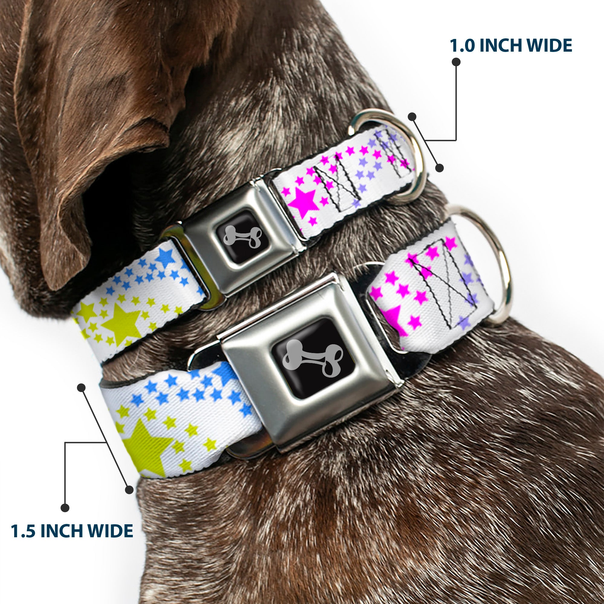 Dog Bone Seatbelt Buckle Collar - Falling Stars White/Multi Color Seatbelt Buckle Collars Buckle-Down