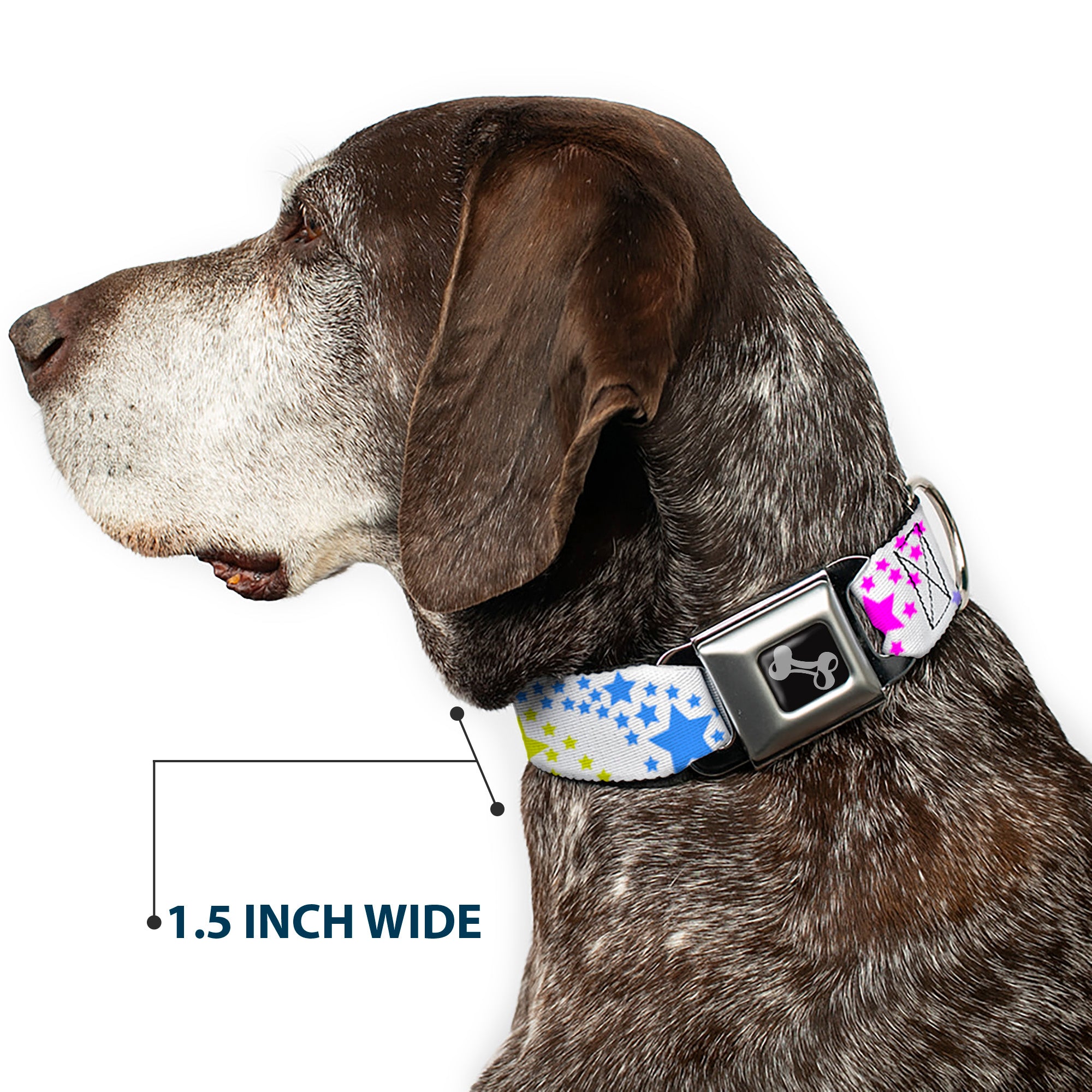 Dog Bone Seatbelt Buckle Collar - Falling Stars White/Multi Color Seatbelt Buckle Collars Buckle-Down