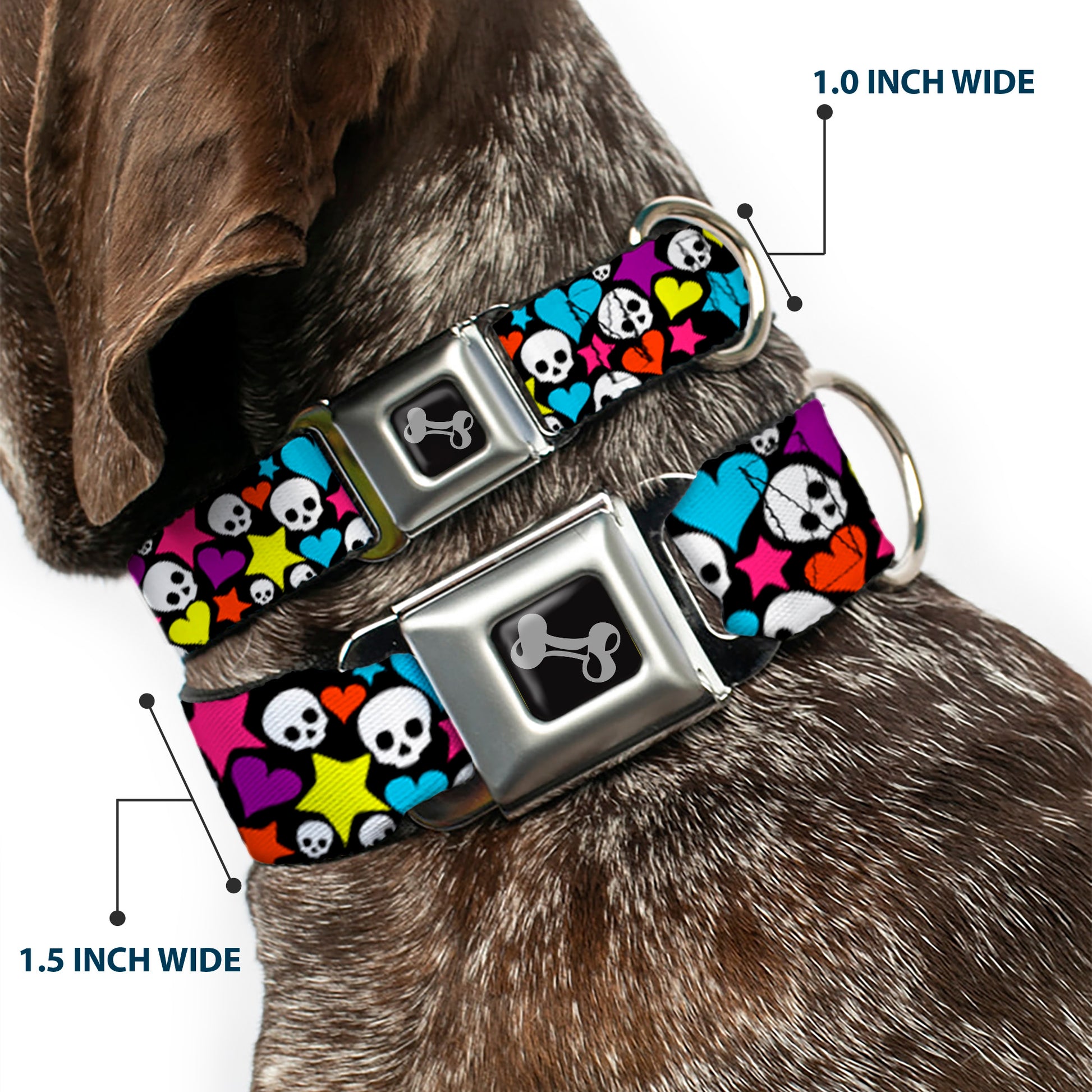Dog Bone Seatbelt Buckle Collar - Funky Skulls Hearts & Stars Black/Multi Color Seatbelt Buckle Collars Buckle-Down