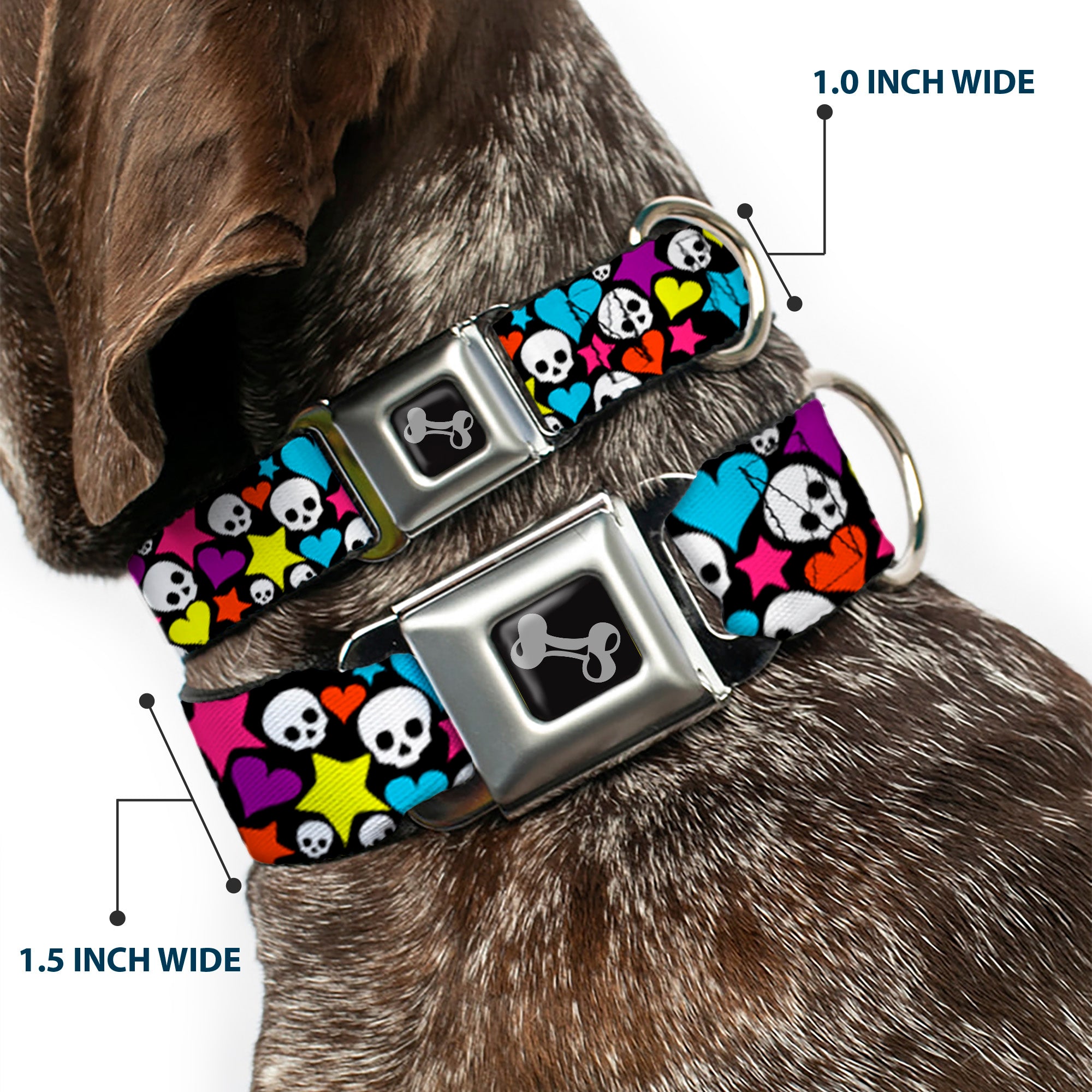 Dog Bone Seatbelt Buckle Collar - Funky Skulls Hearts & Stars Black/Multi Color Seatbelt Buckle Collars Buckle-Down