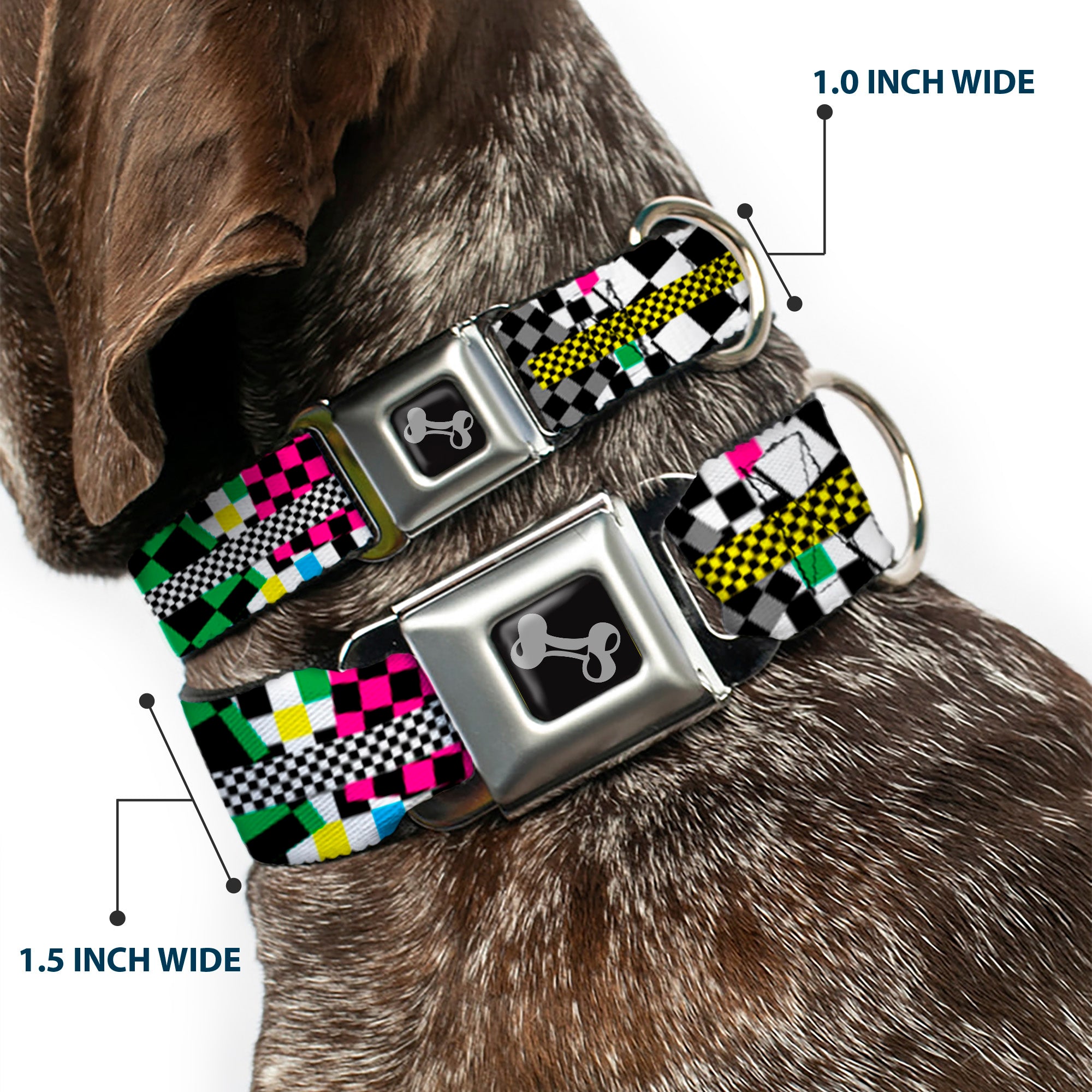 Dog Bone Seatbelt Buckle Collar - Funky Checkers Black/White/Neon Seatbelt Buckle Collars Buckle-Down