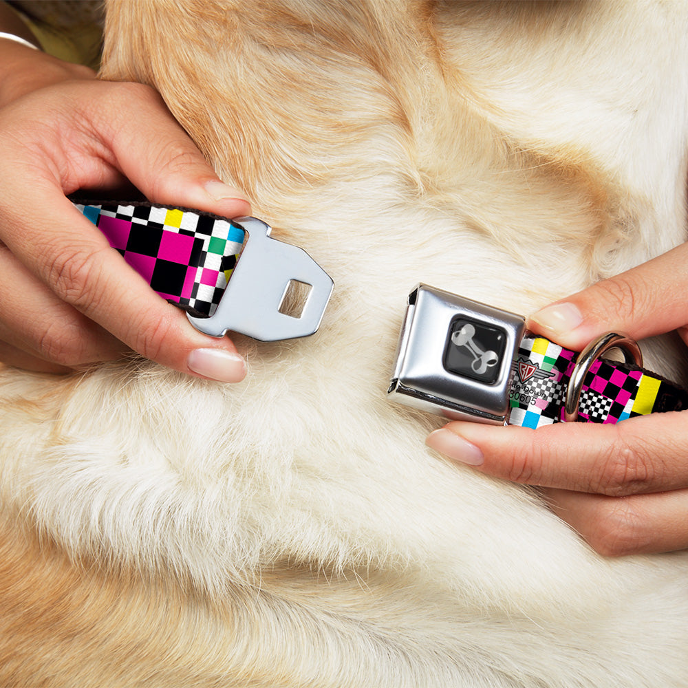 Dog Bone Seatbelt Buckle Collar - Funky Checkers Black/White/Neon Seatbelt Buckle Collars Buckle-Down