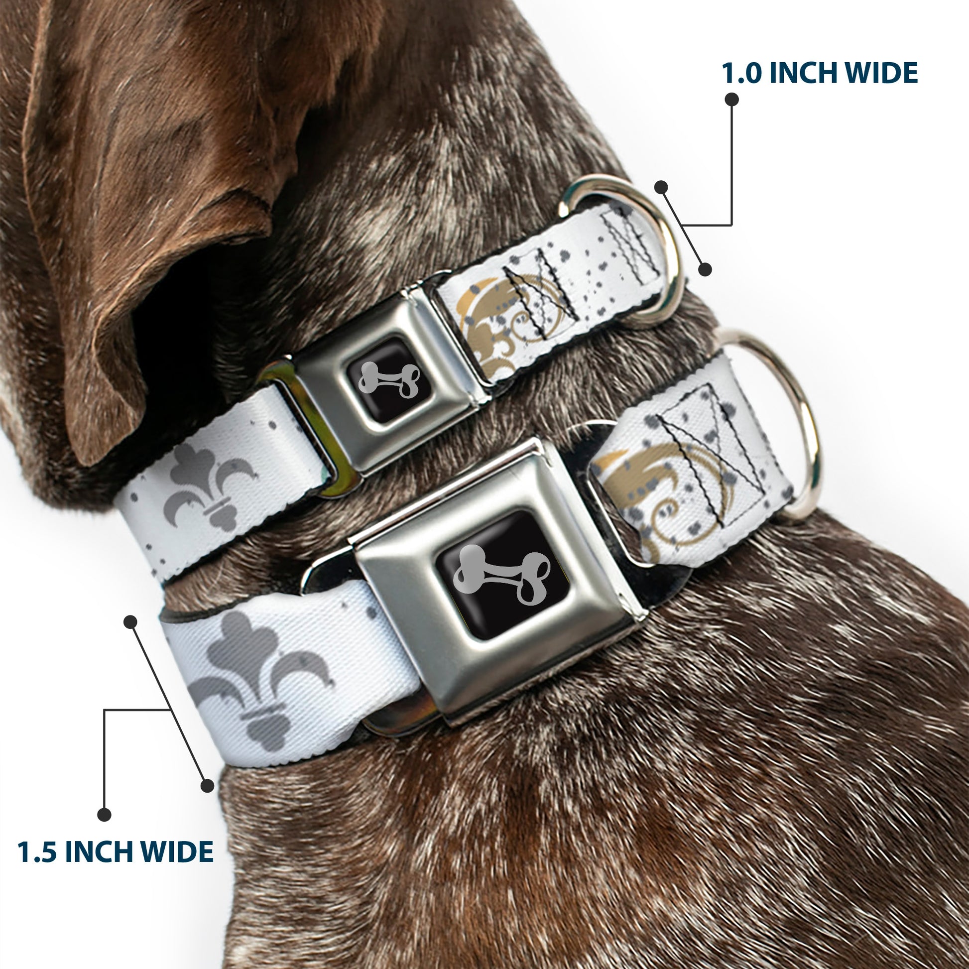 Dog Bone Seatbelt Buckle Collar - Flower Splatter White/Gray Seatbelt Buckle Collars Buckle-Down