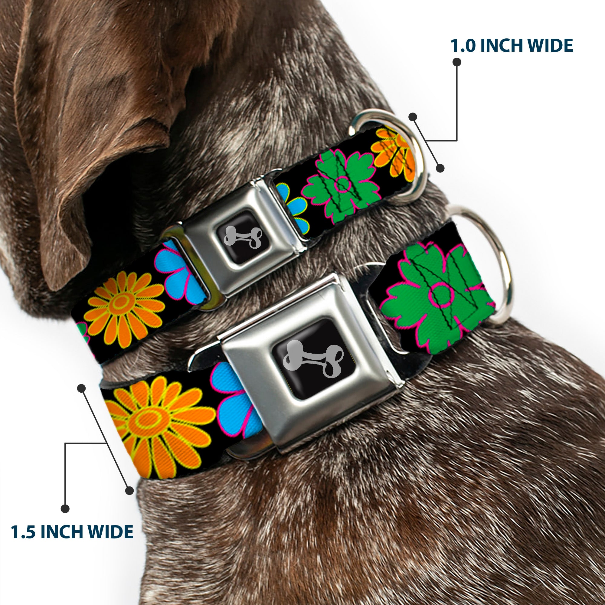 Dog Bone Seatbelt Buckle Collar - Flowers Black/Multi Color Seatbelt Buckle Collars Buckle-Down