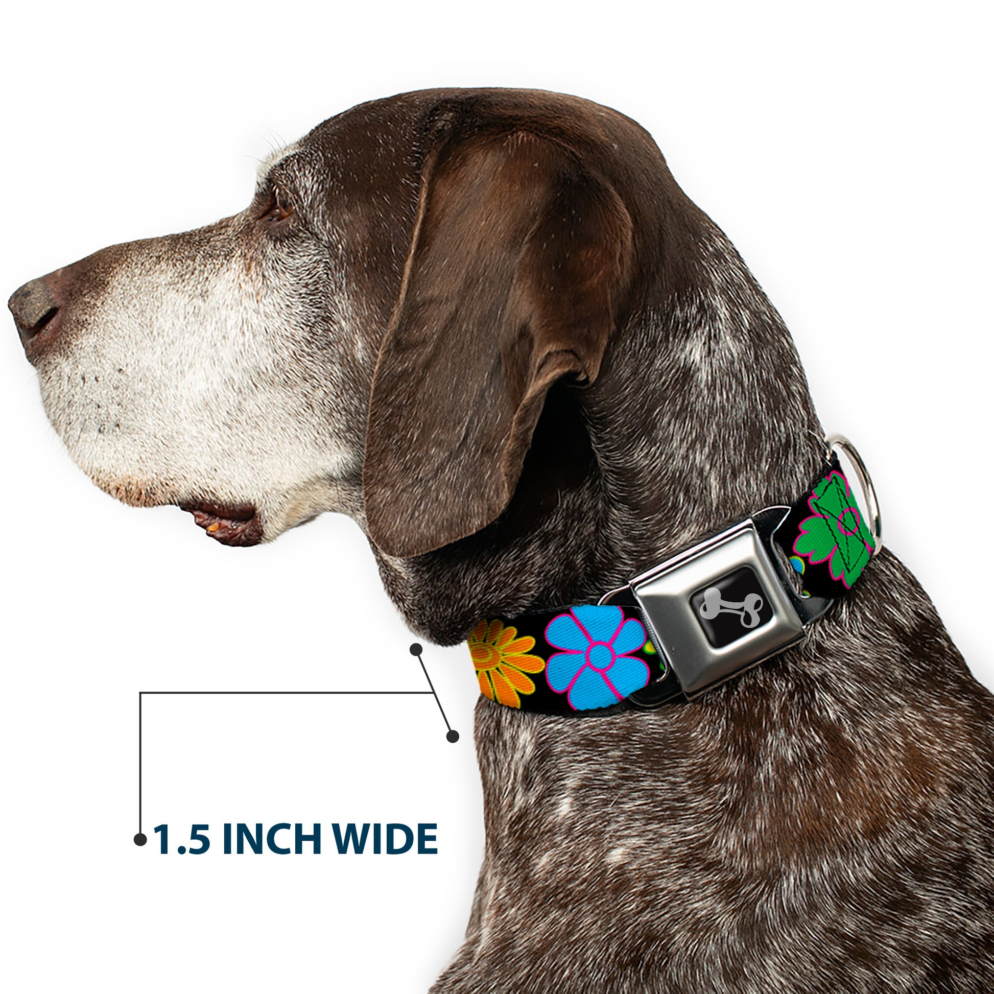 Dog Bone Seatbelt Buckle Collar - Flowers Black/Multi Color Seatbelt Buckle Collars Buckle-Down