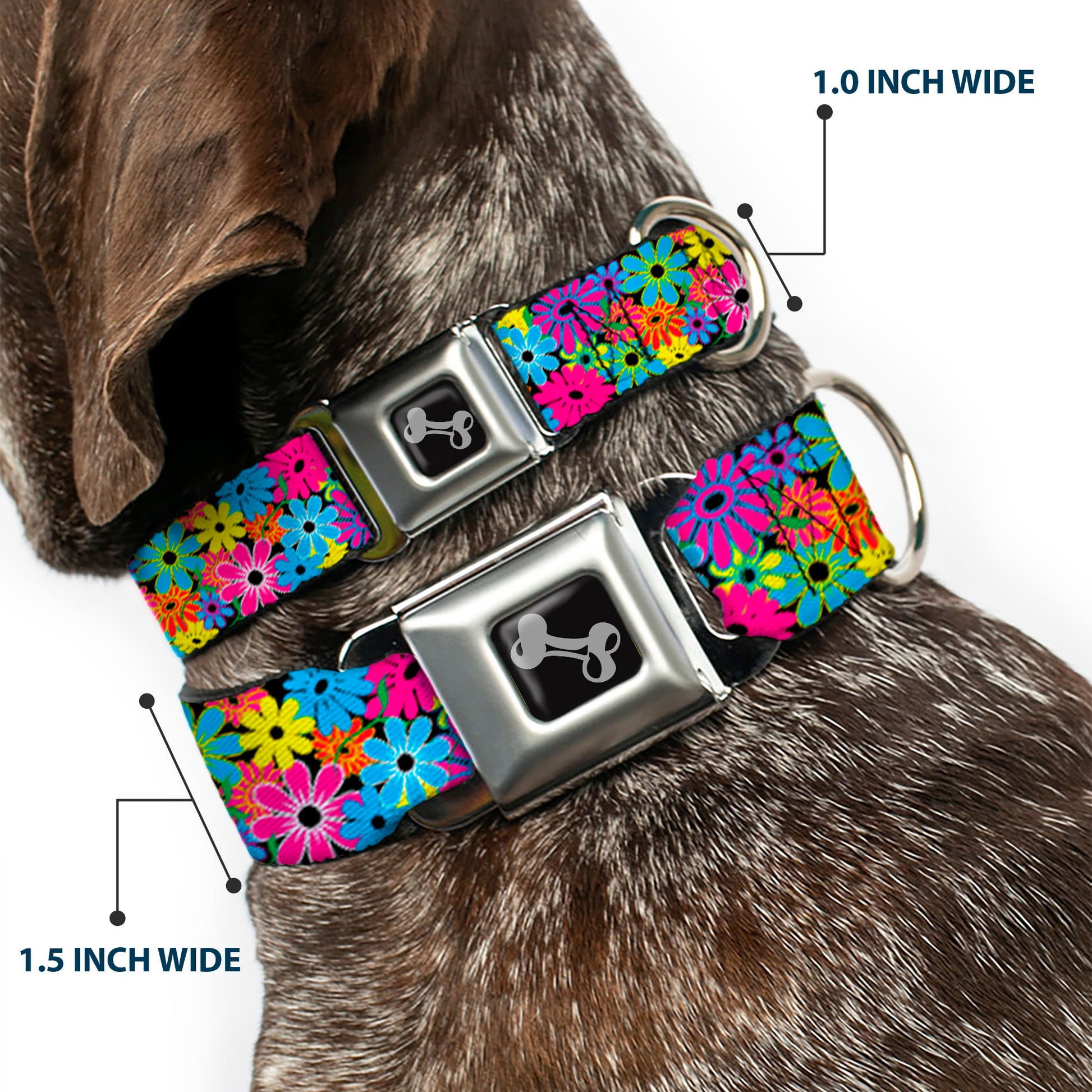 Dog Bone Seatbelt Buckle Collar - Flower Blossom Seatbelt Buckle Collars Buckle-Down