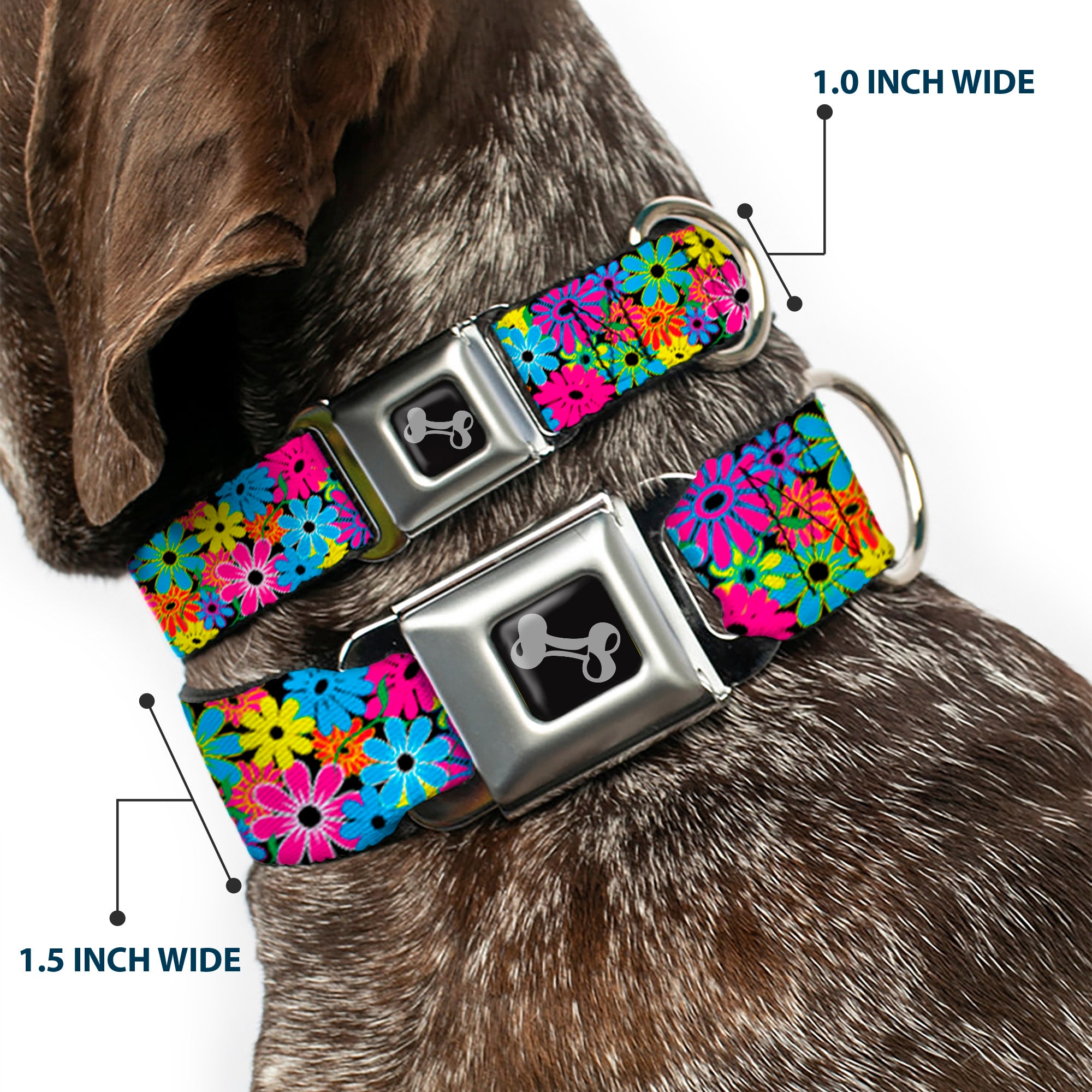 Dog Bone Seatbelt Buckle Collar - Flower Blossom Seatbelt Buckle Collars Buckle-Down