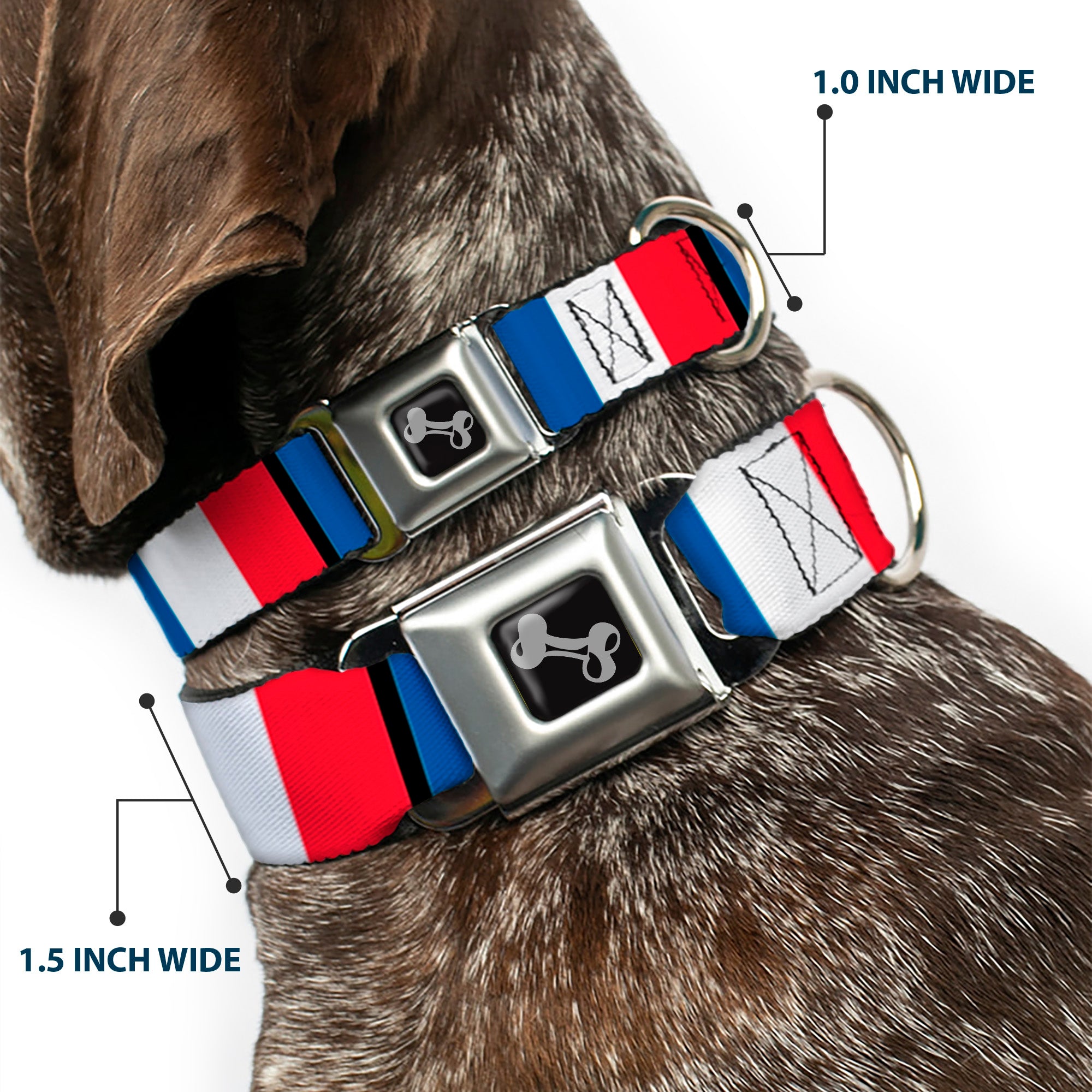 Dog Bone Seatbelt Buckle Collar - France Flags Seatbelt Buckle Collars Buckle-Down